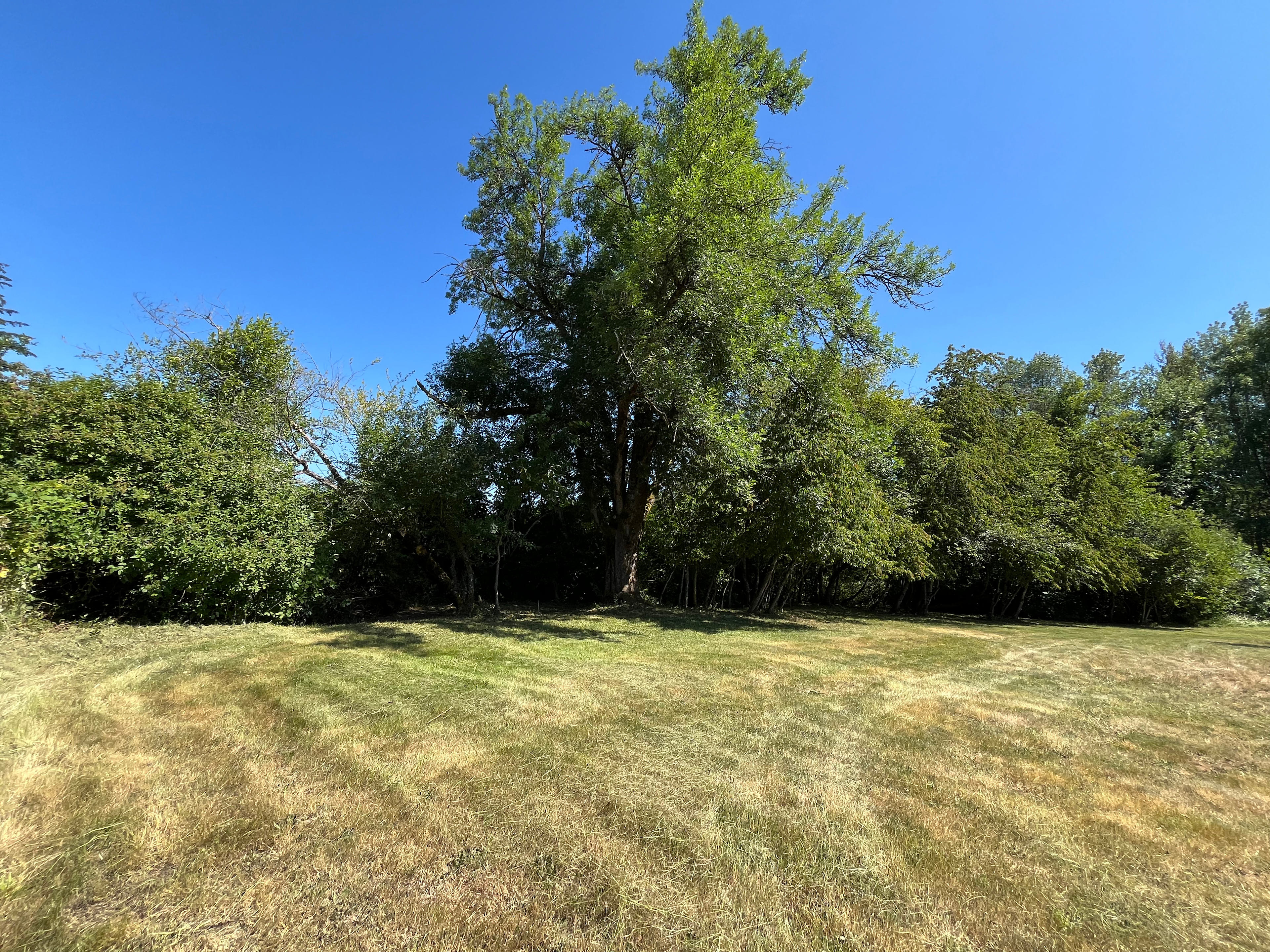 Plenty of space to run and set up camp.