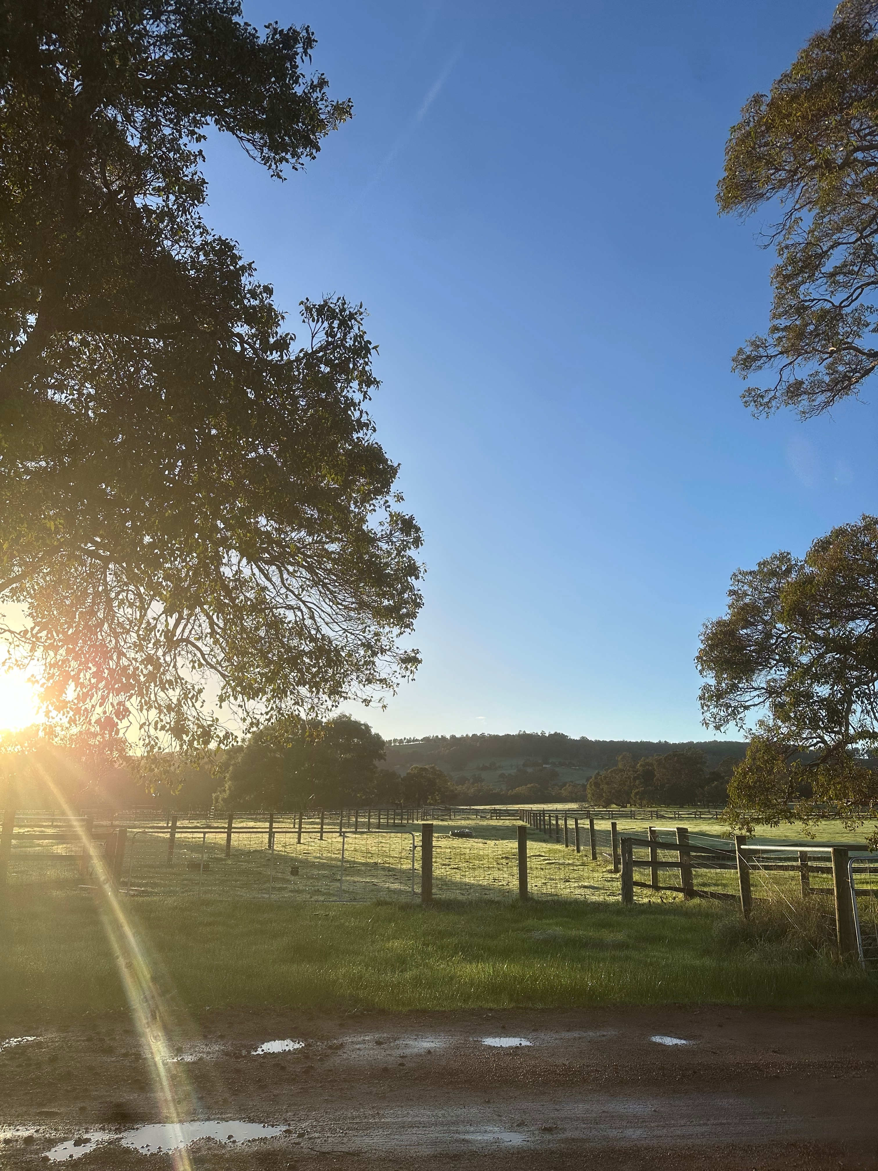 Yoga on the Farm