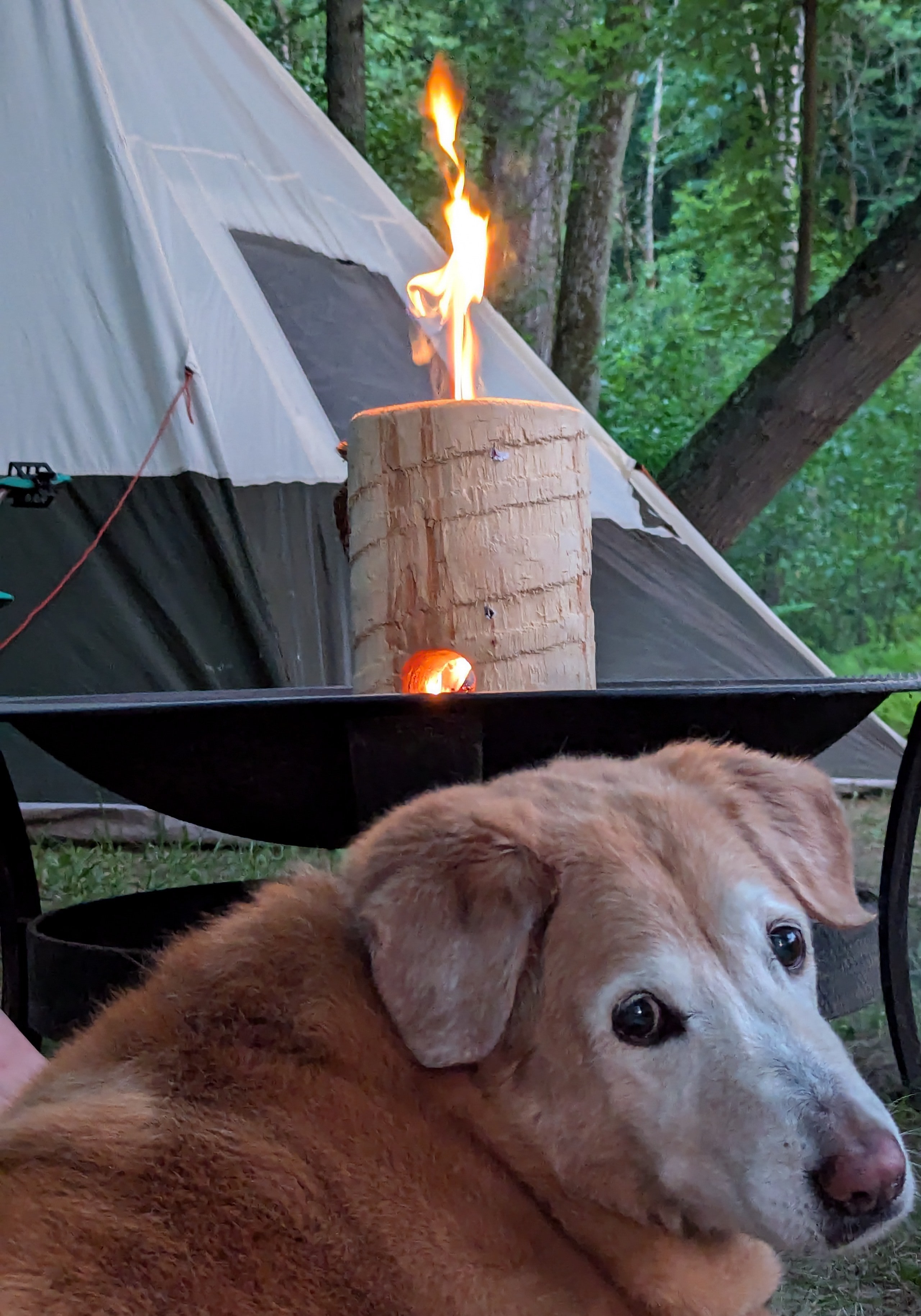 Brooklyn enjoying the Timber Tote fire!