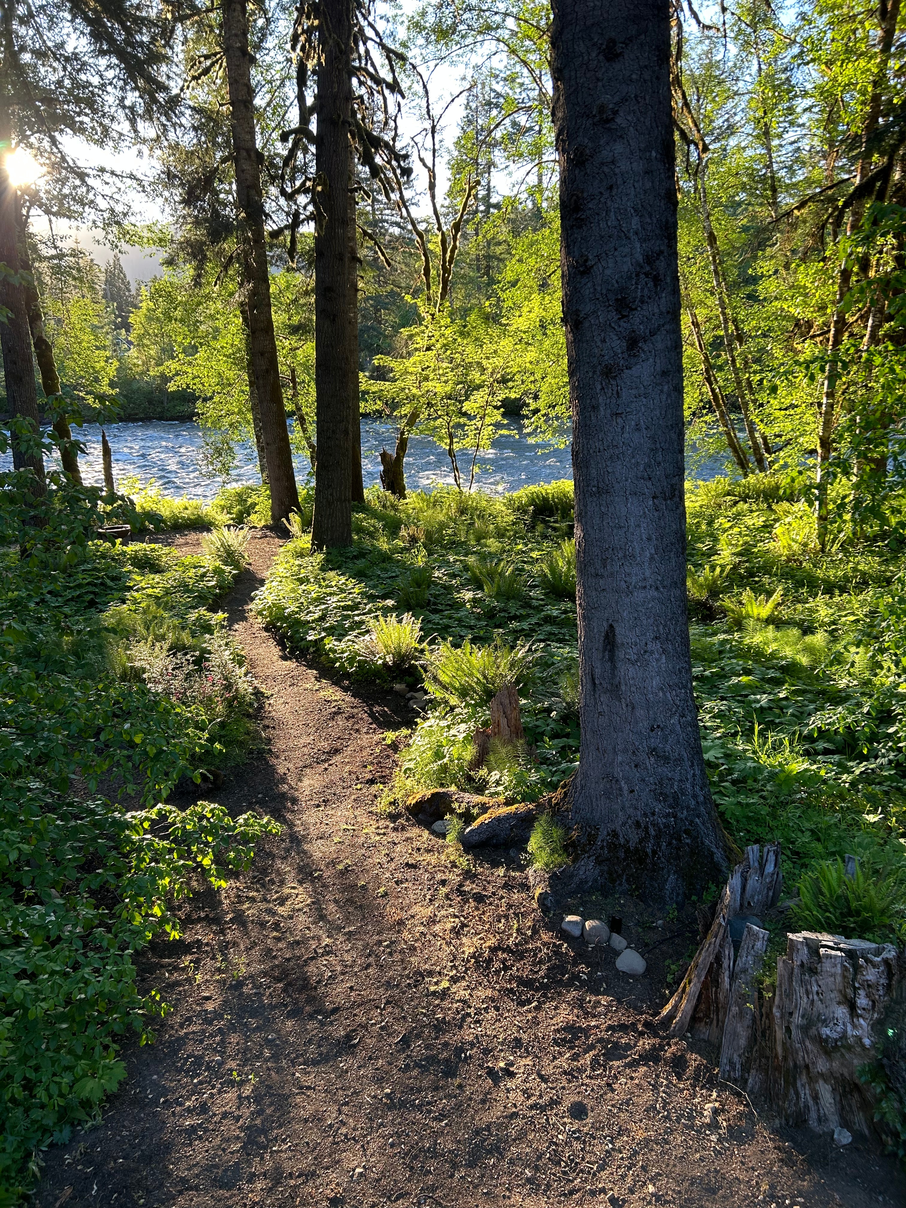 One of the many paths to explore.