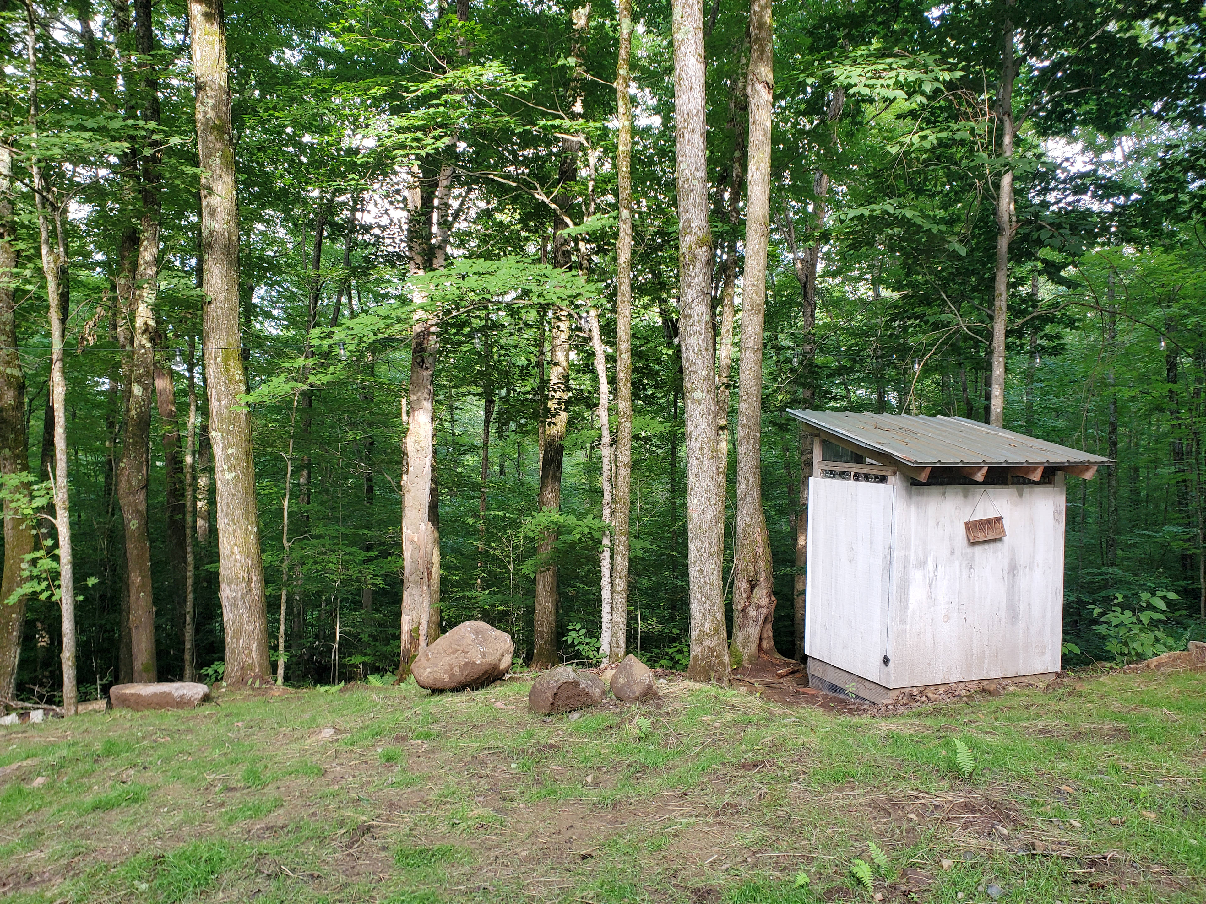 Wendy’s Woods on the Kingdom Trails