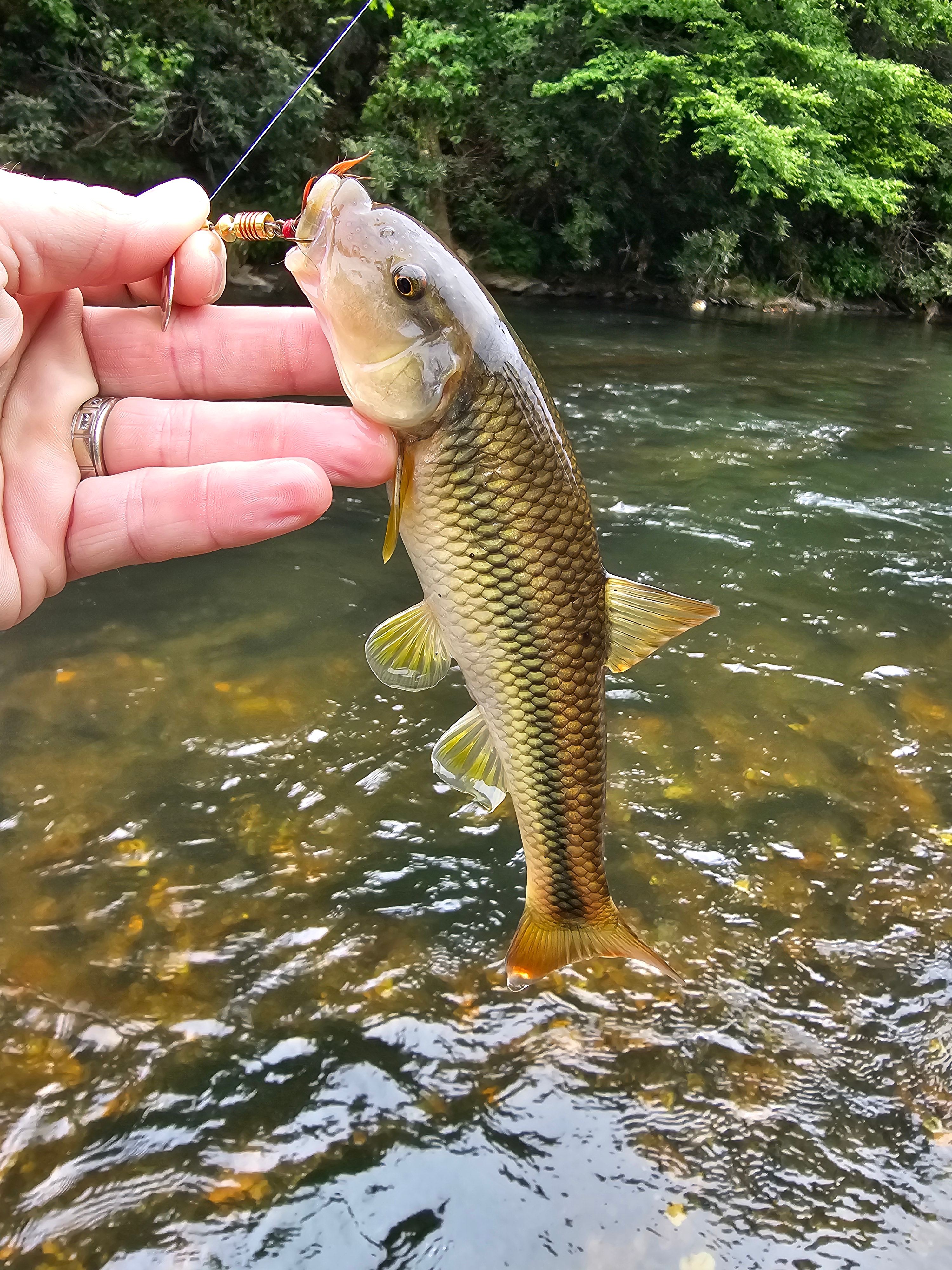 Hidden River Experience