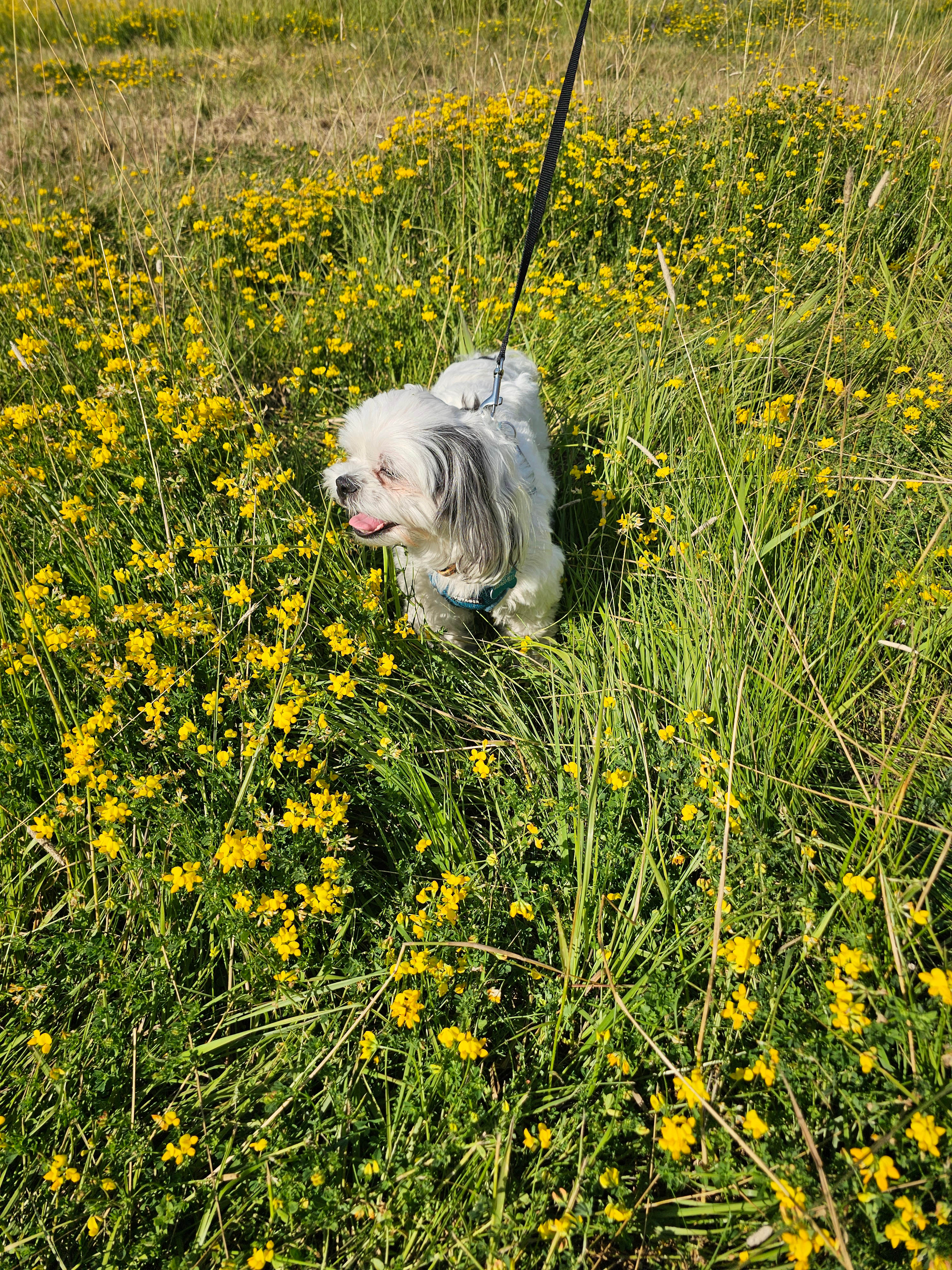 field area by our RV