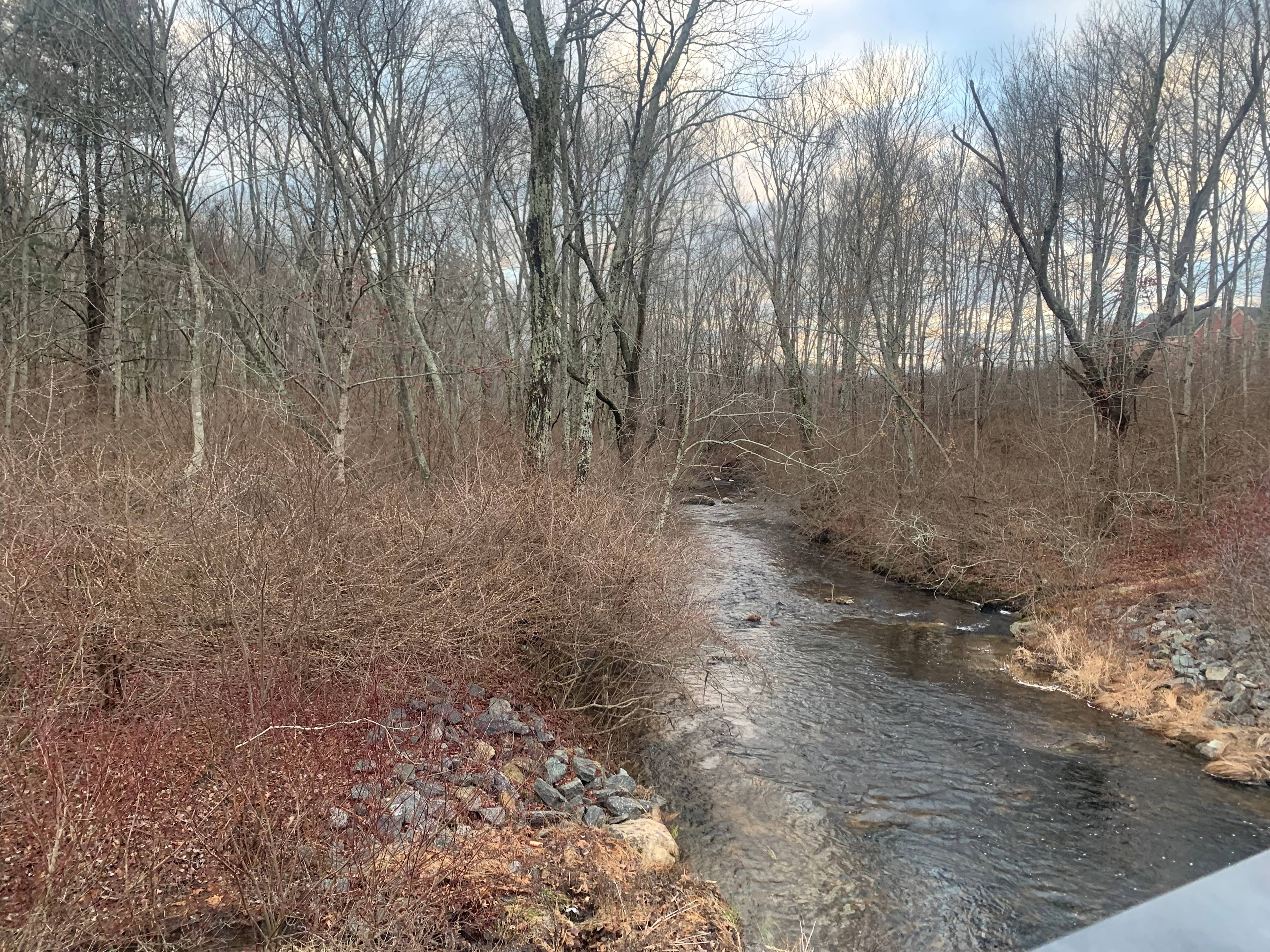 Camping on the Homestead