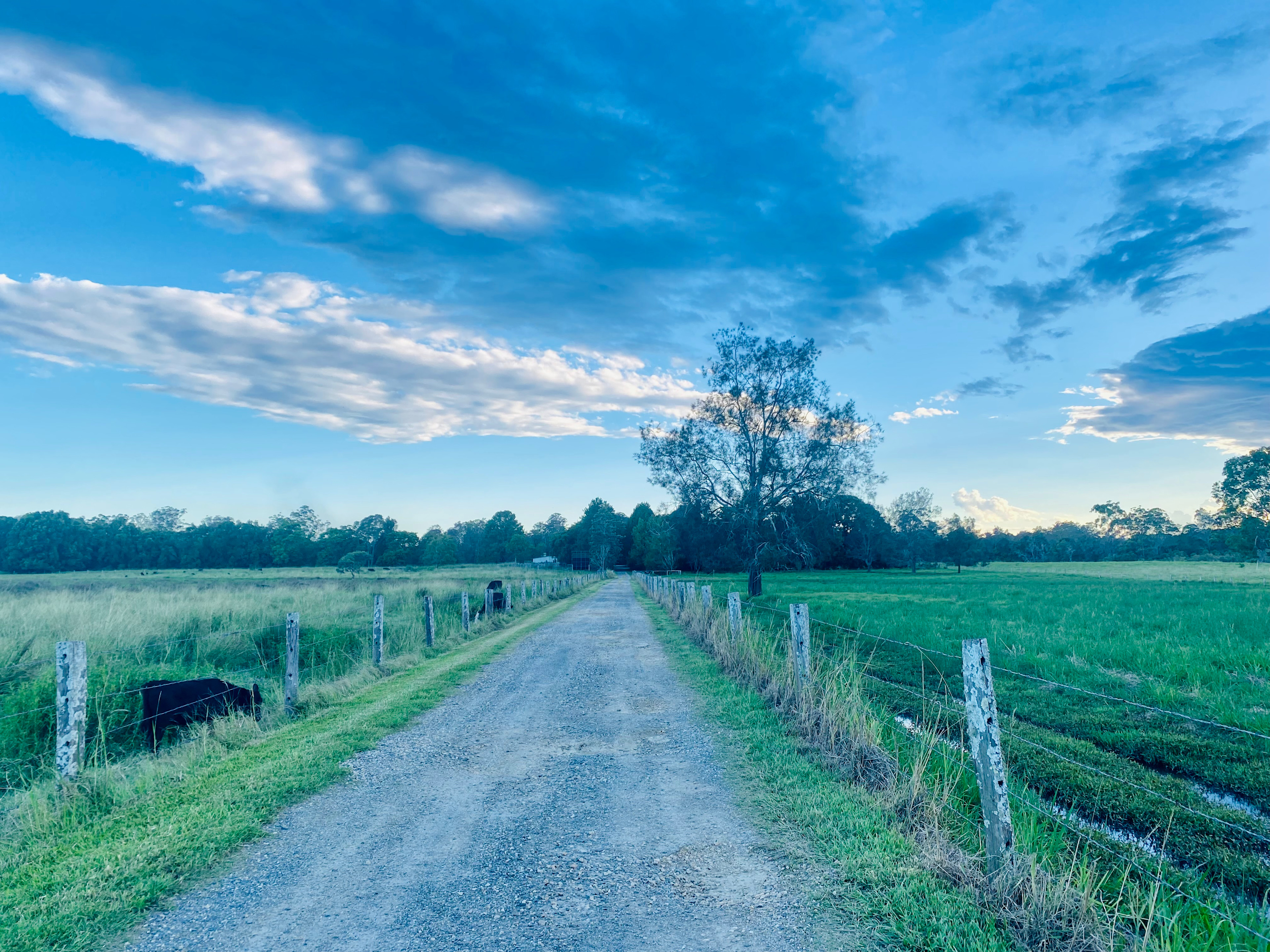 Riverlea Green,  Nambucca Valley