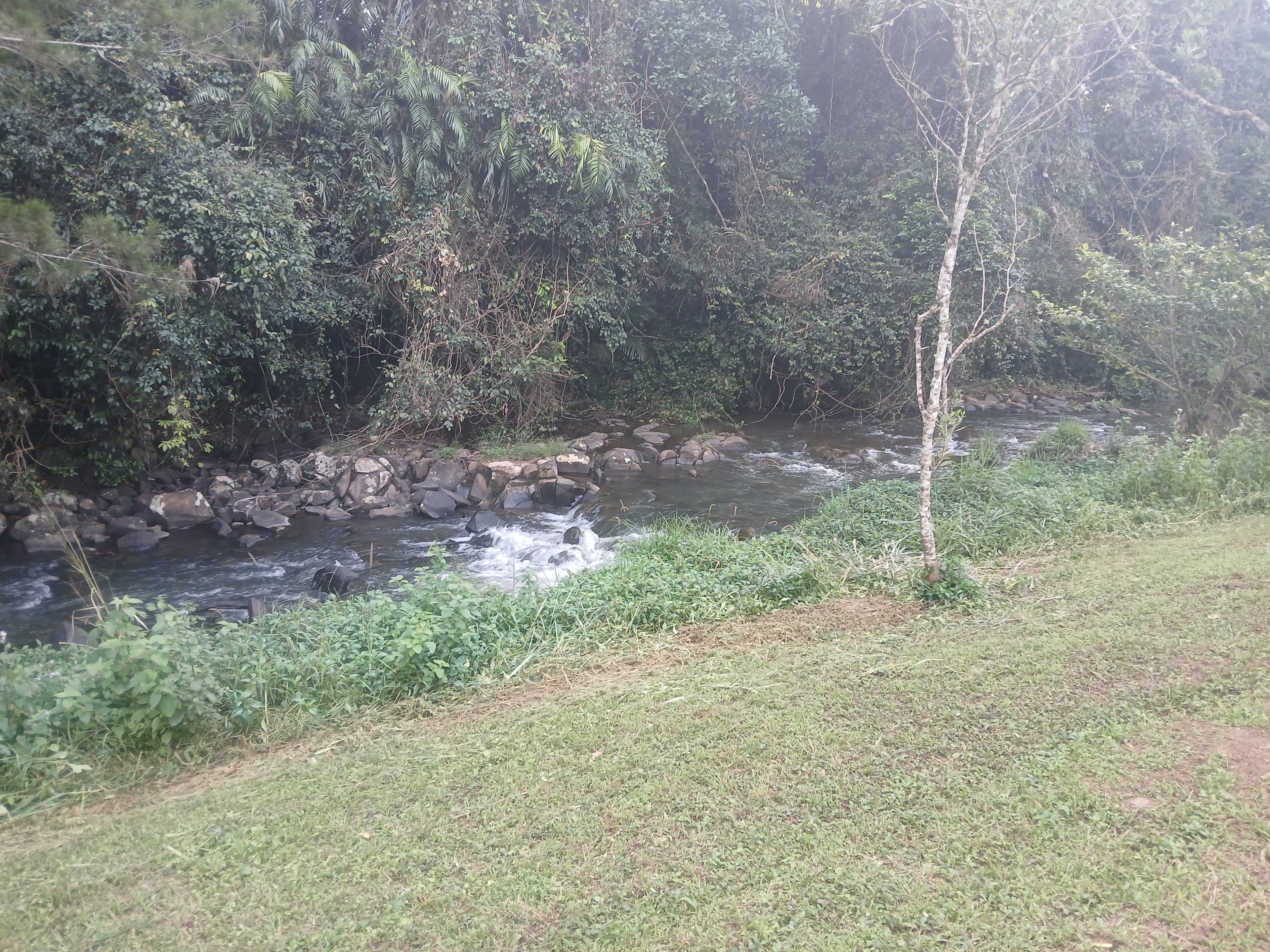 Malanda Stream Private Camping.