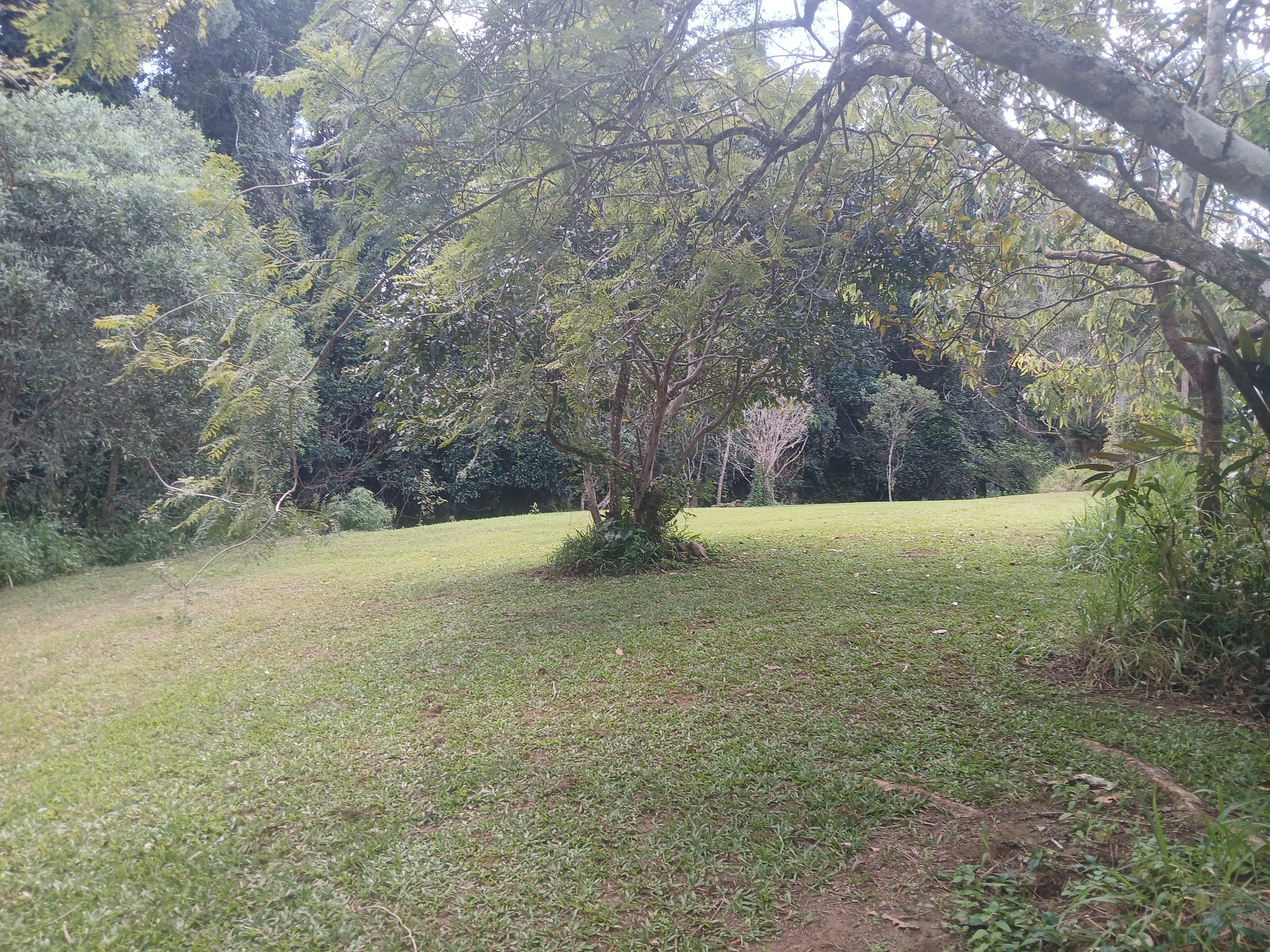 Malanda Stream Private Camping.