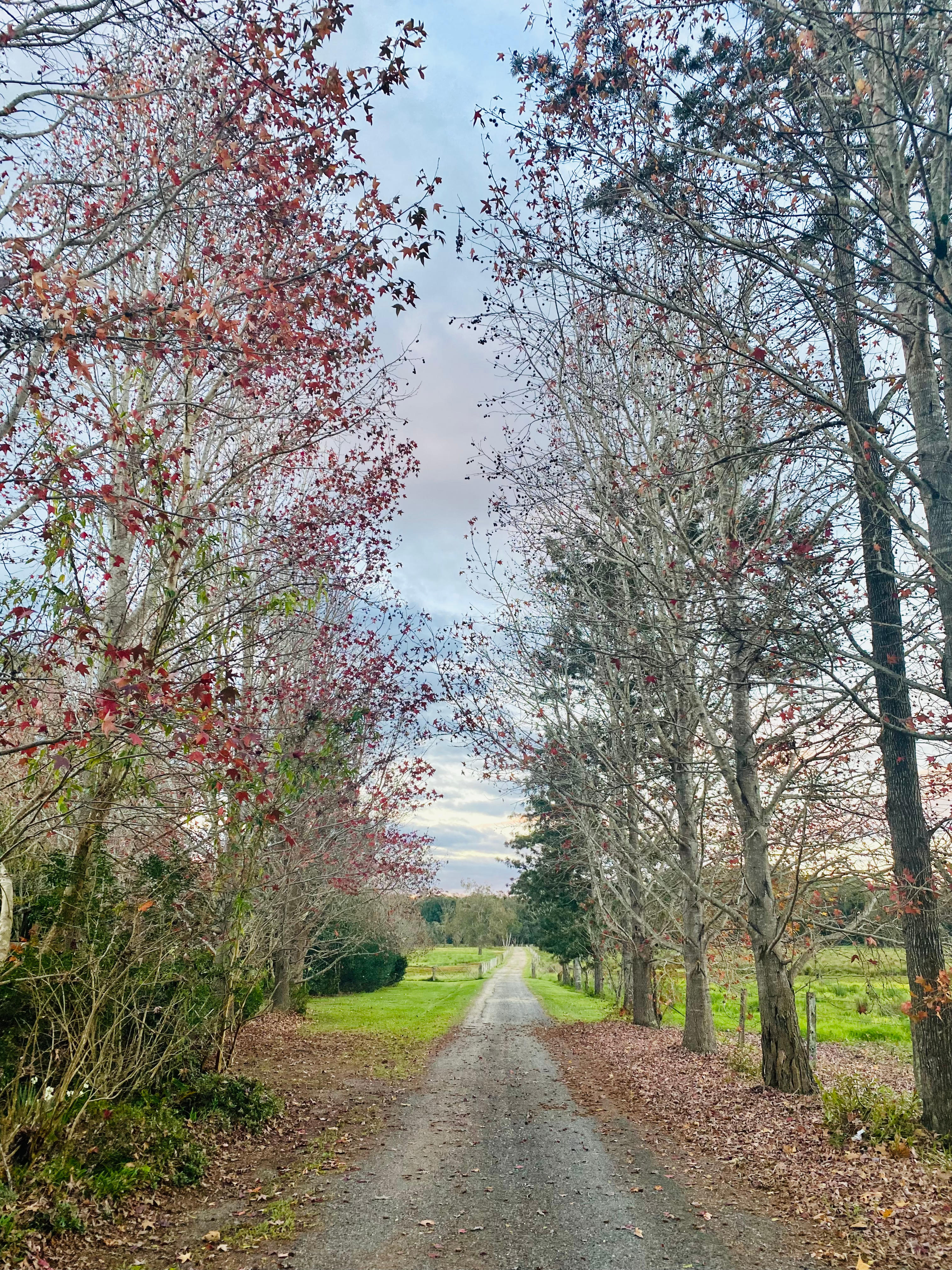 Riverlea Green,  Nambucca Valley