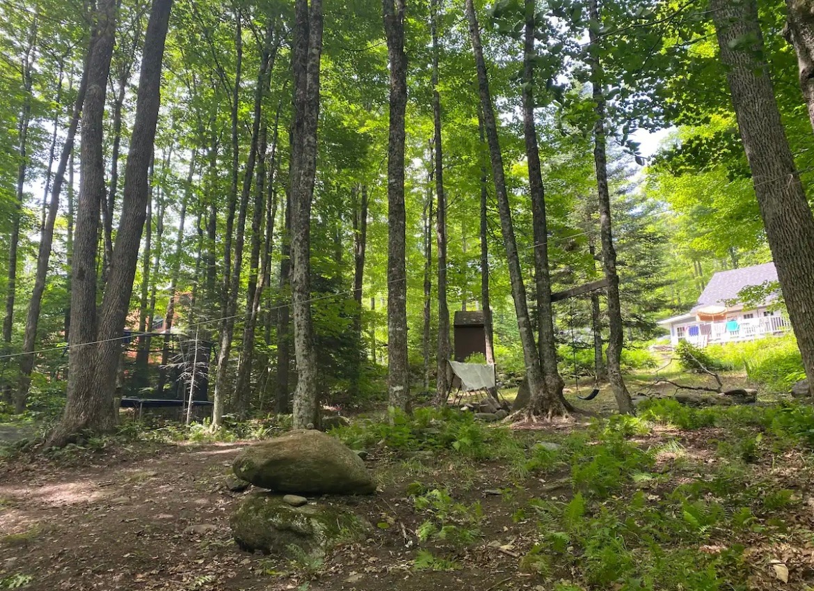 View from the Brook looking up at house 