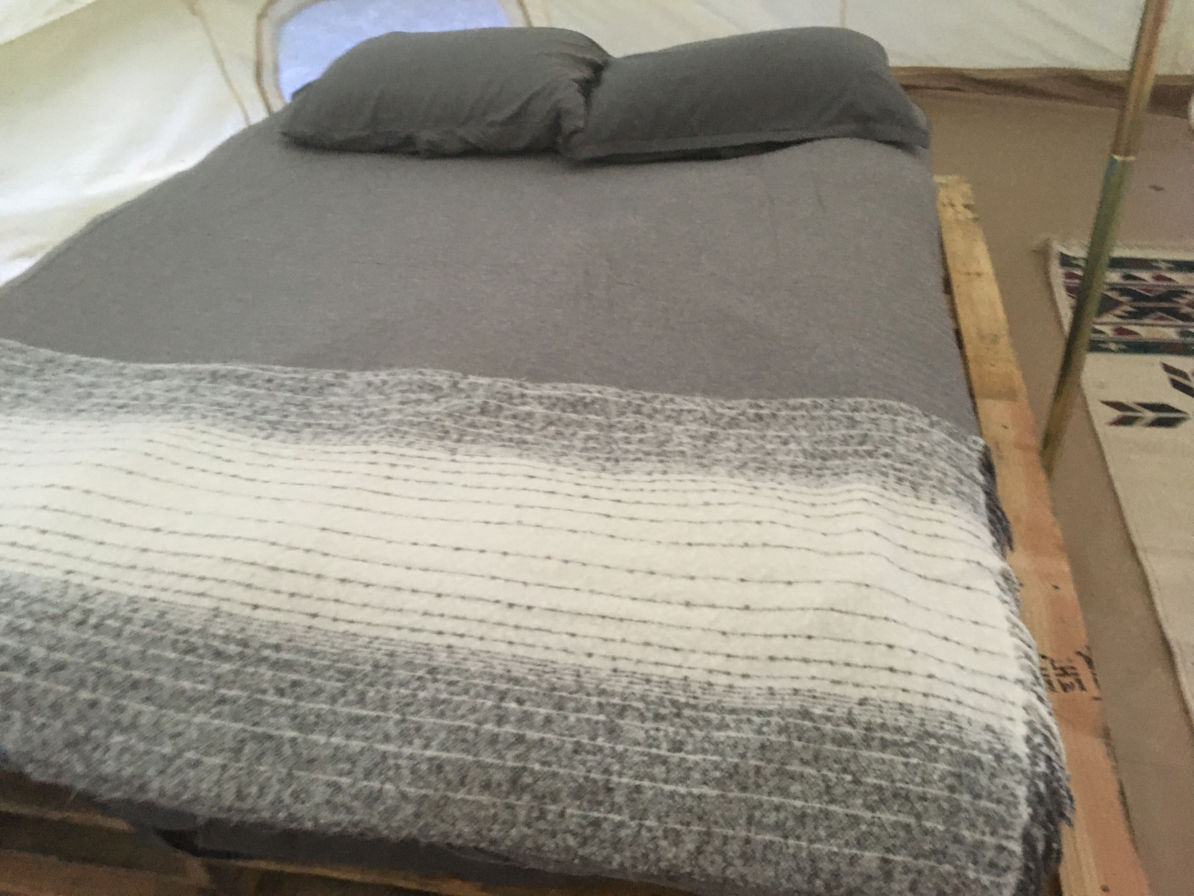 Wild Farm with Mountain Views