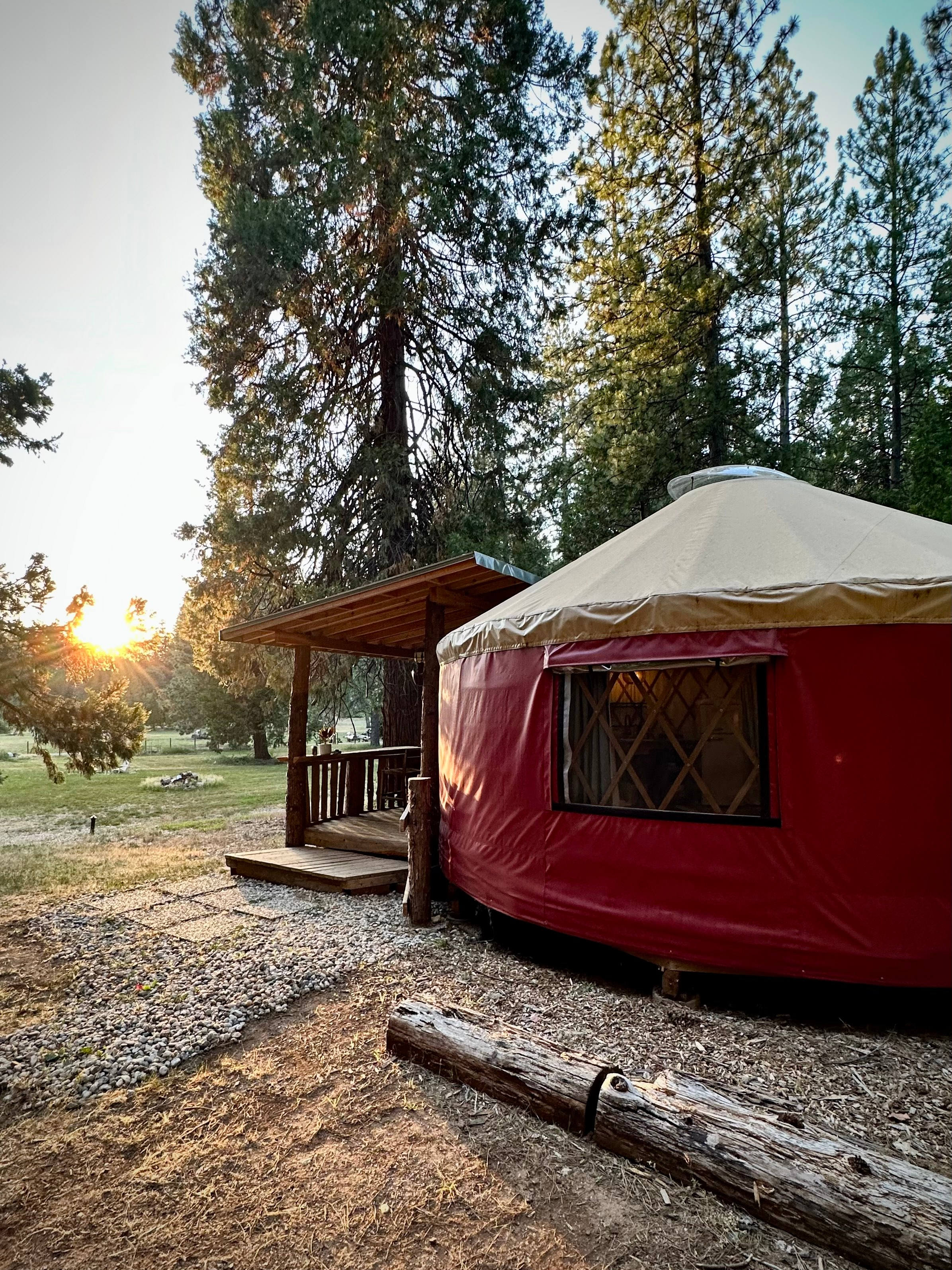 Cozy Luxury Yurt @ Lazy Dog Ranch