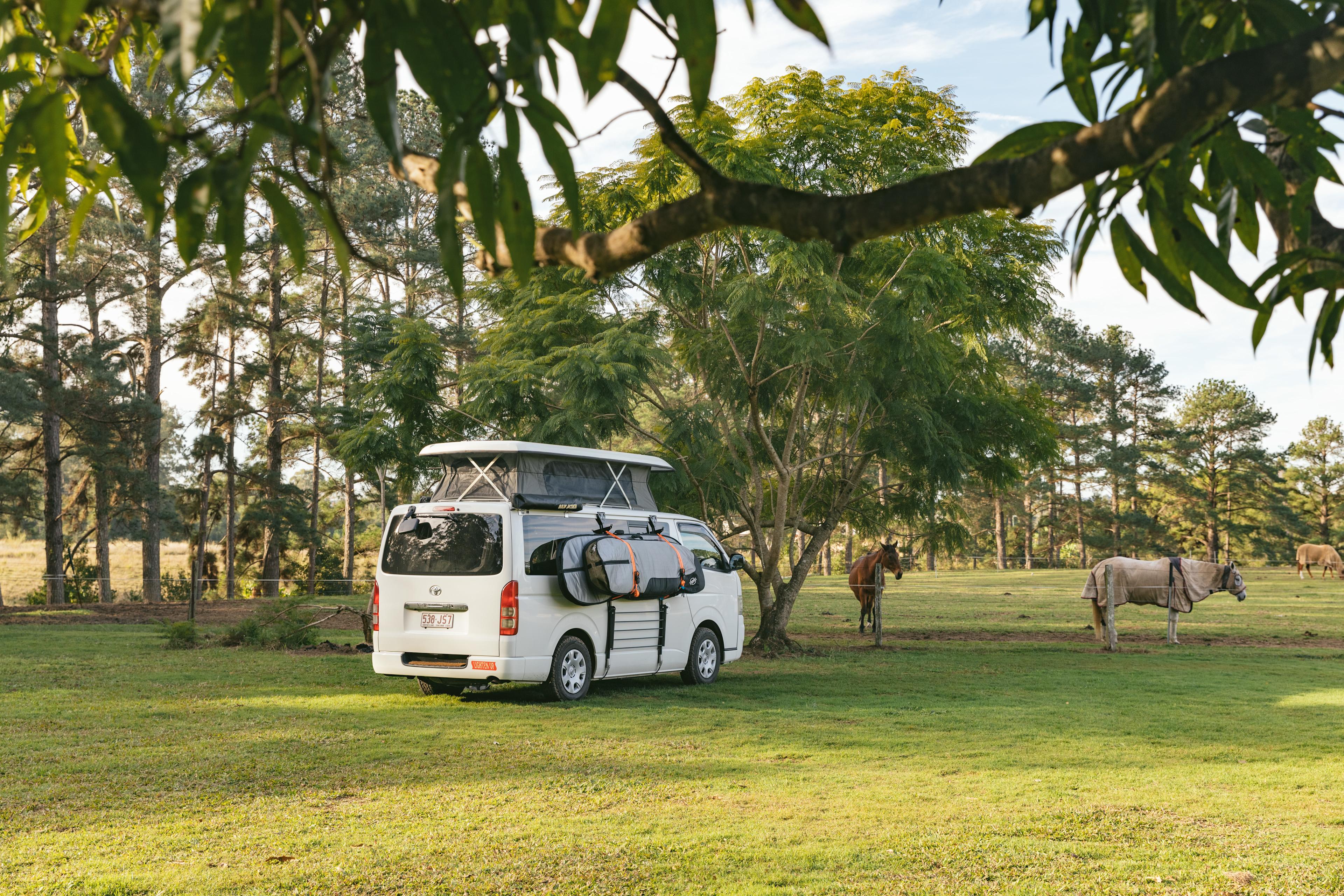 Palmwoods Park Horse / Farm Camping