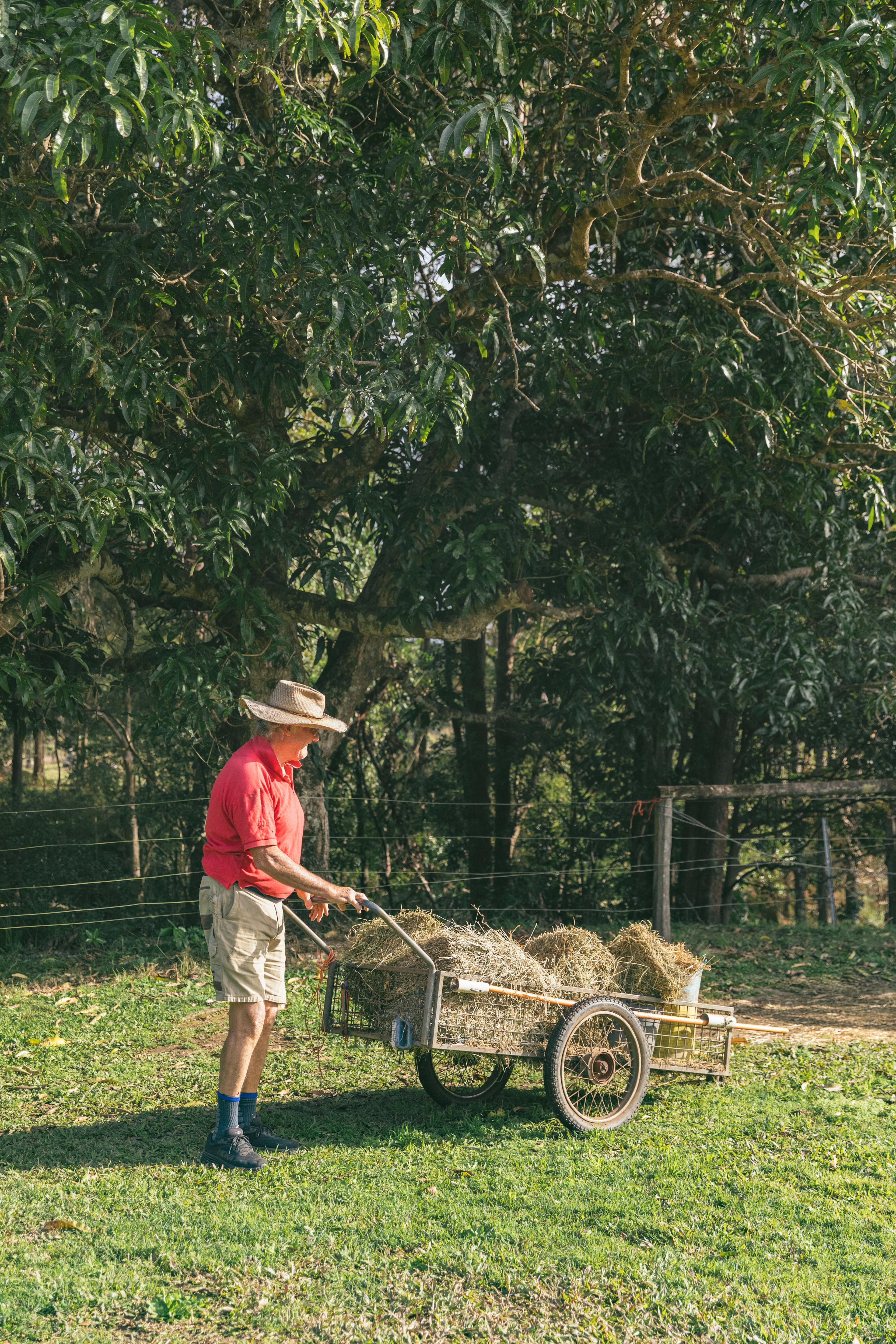 Palmwoods Horse / Farm Camping