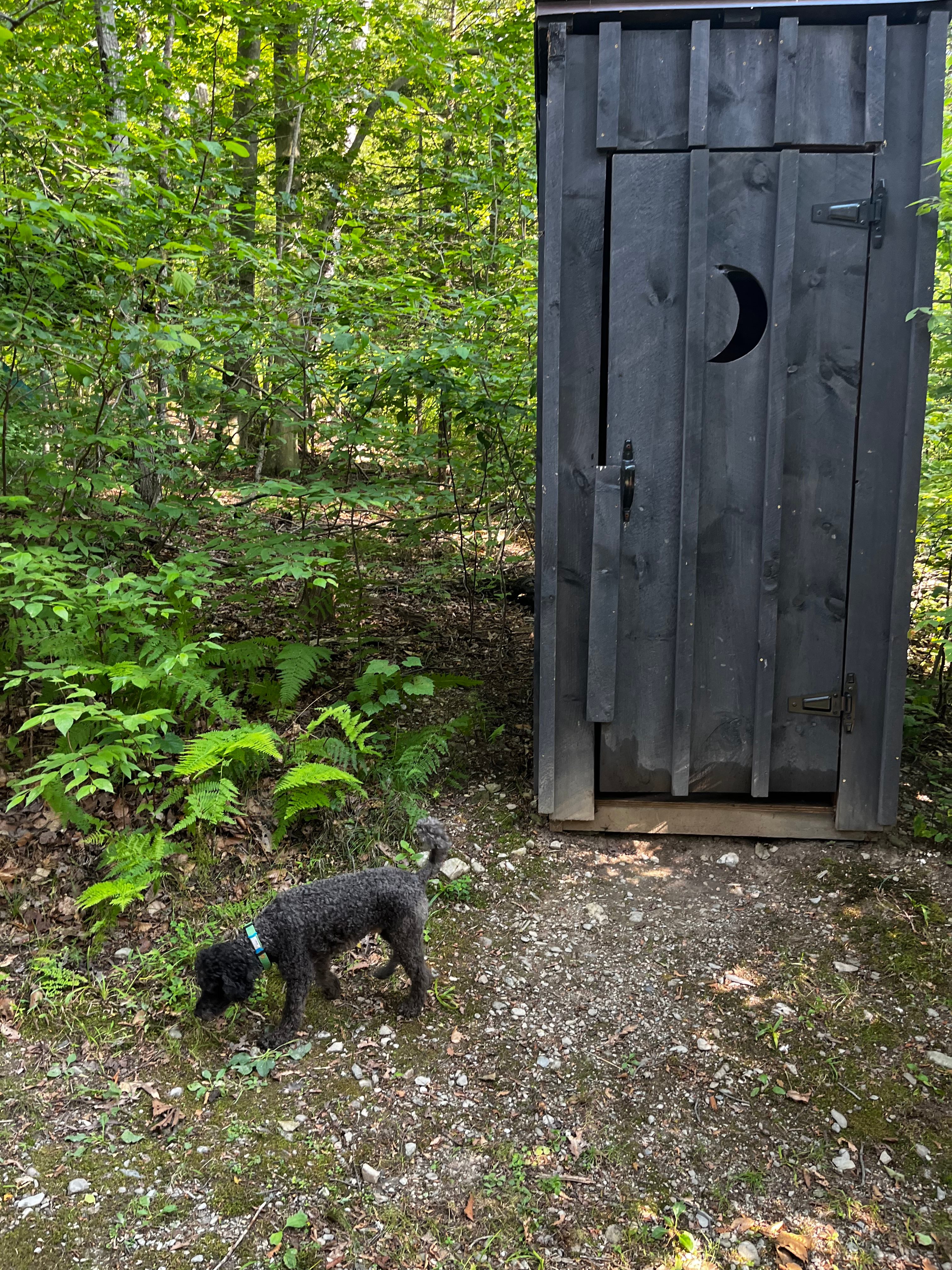 Hucklebuck Railway Campsites