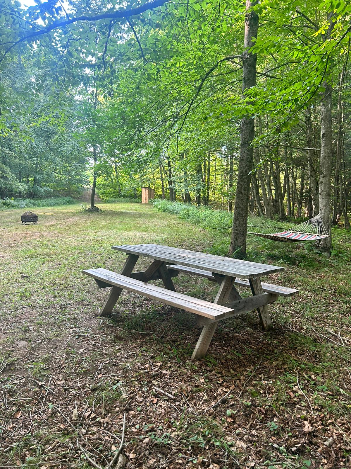Rocky Top Farm's Shady Meadow
