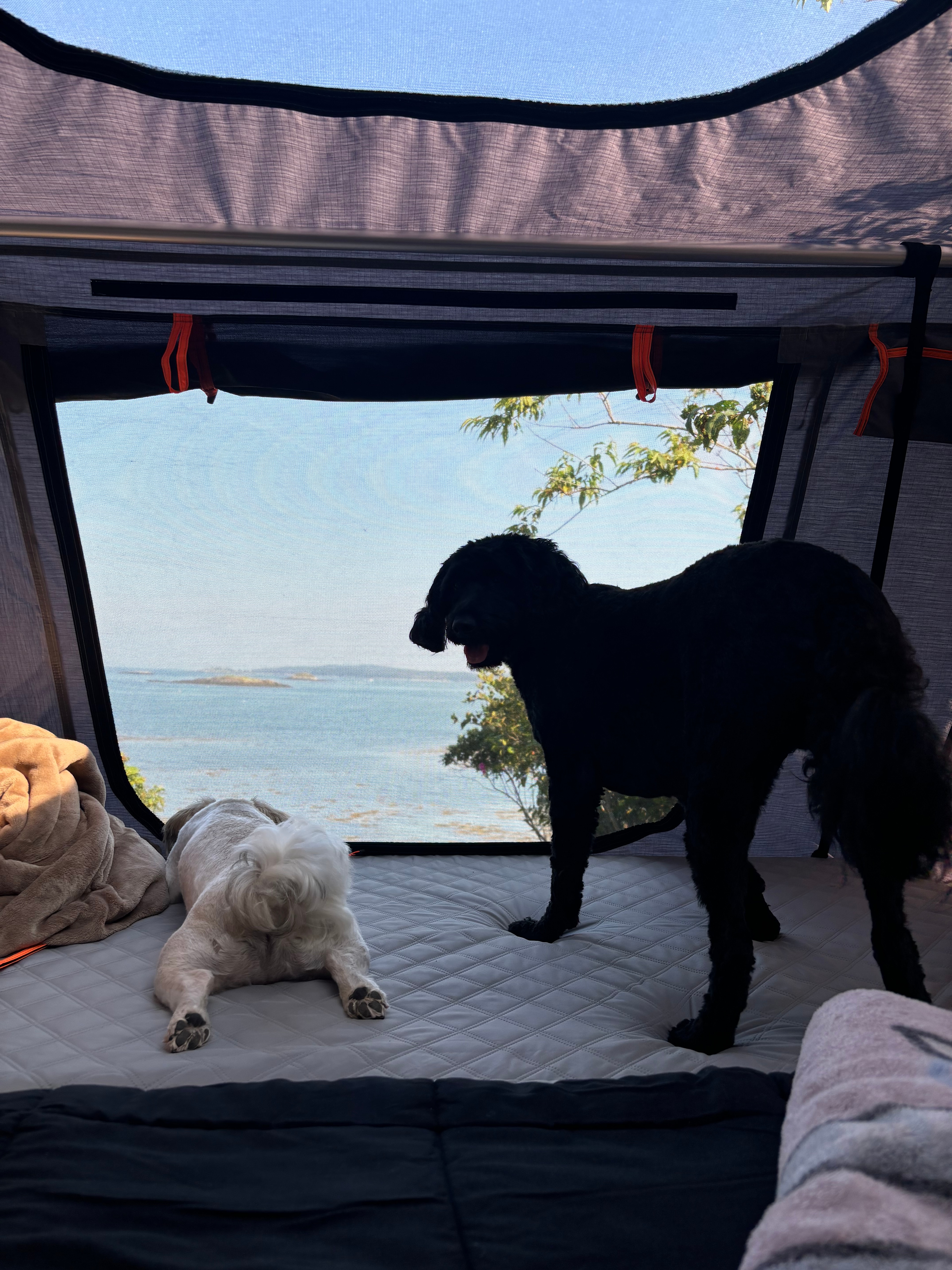 Searenity Beachfront Land Off Grid