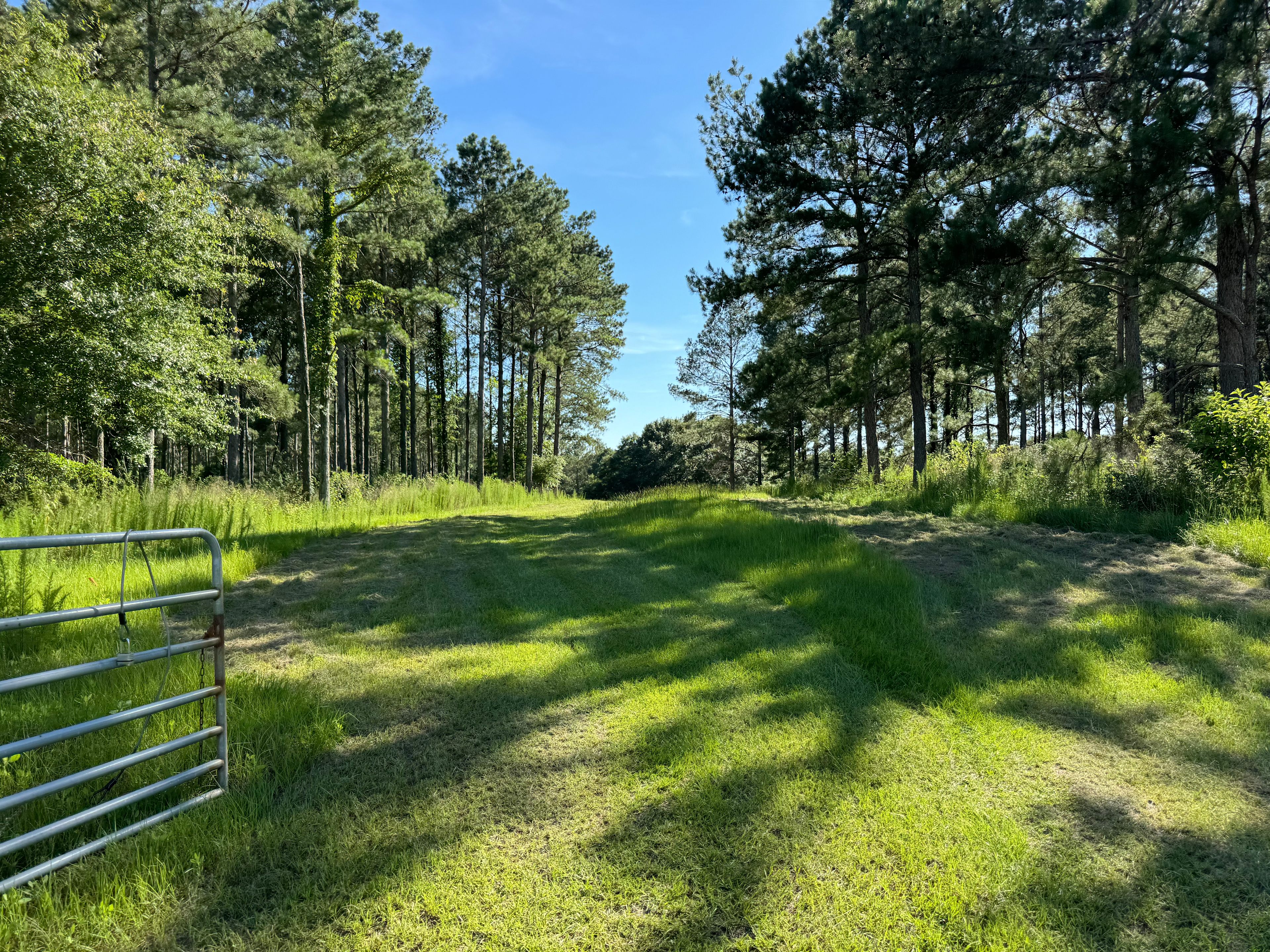 Pondview Acres Campground