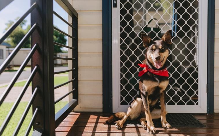 BIG4 Ingenia Holidays Wagga Wagga