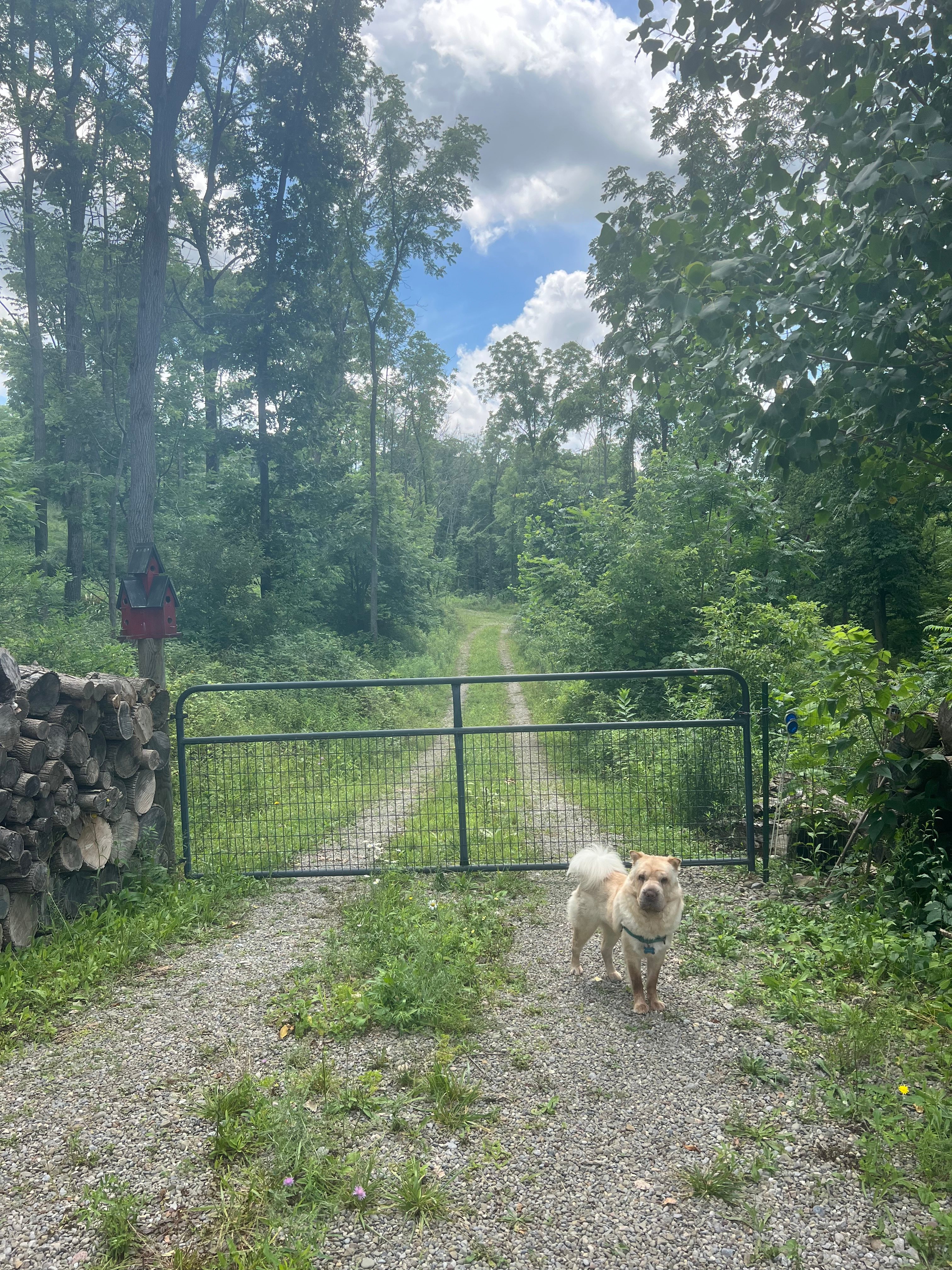 Conesus Lake Glamping With a View