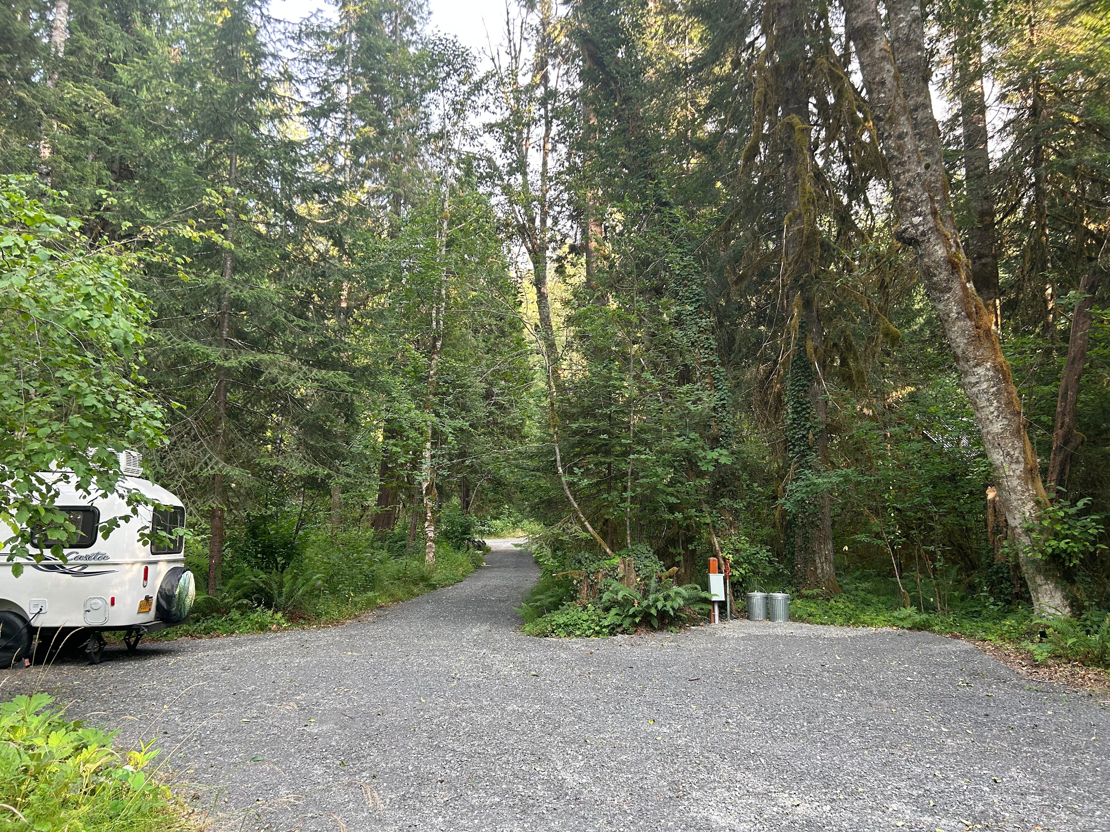 View from the edge of the Spot looking back toward the driveway and Castle Rock hiding in the trees. (The trailer is ours and is unoccupied.)