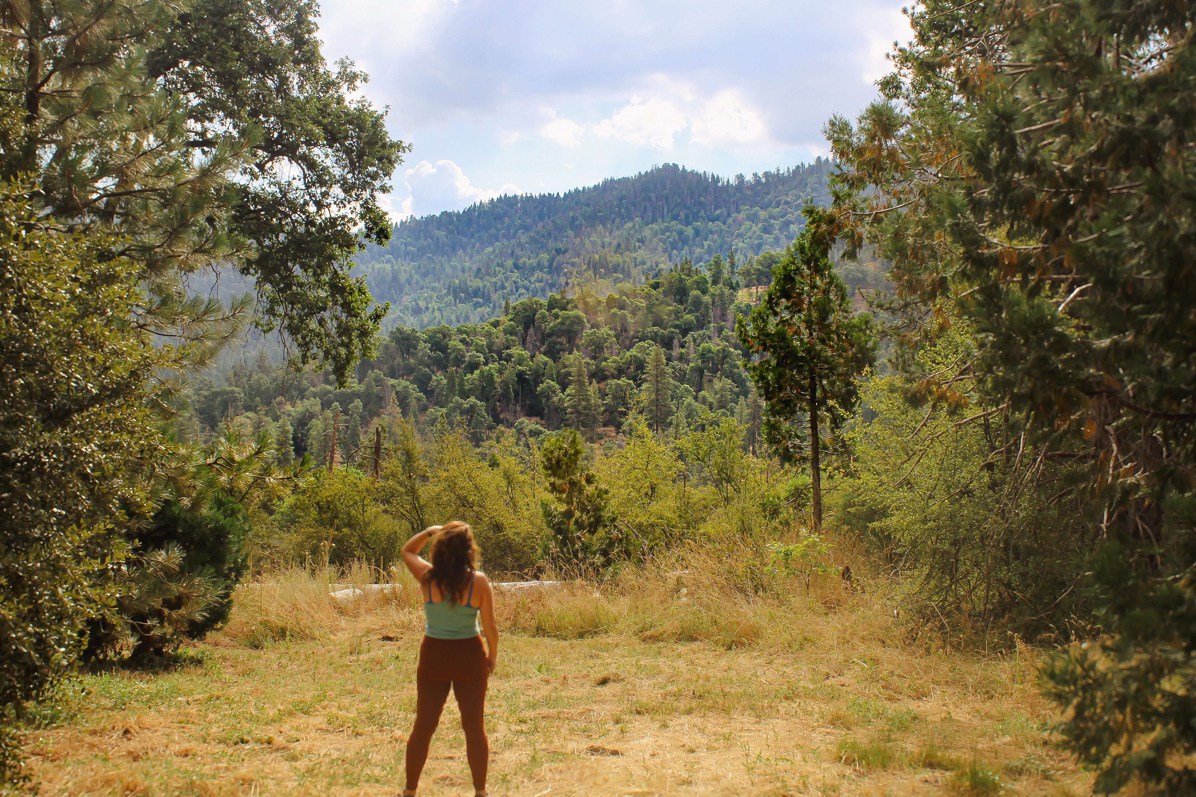 The back meadow is so peaceful!