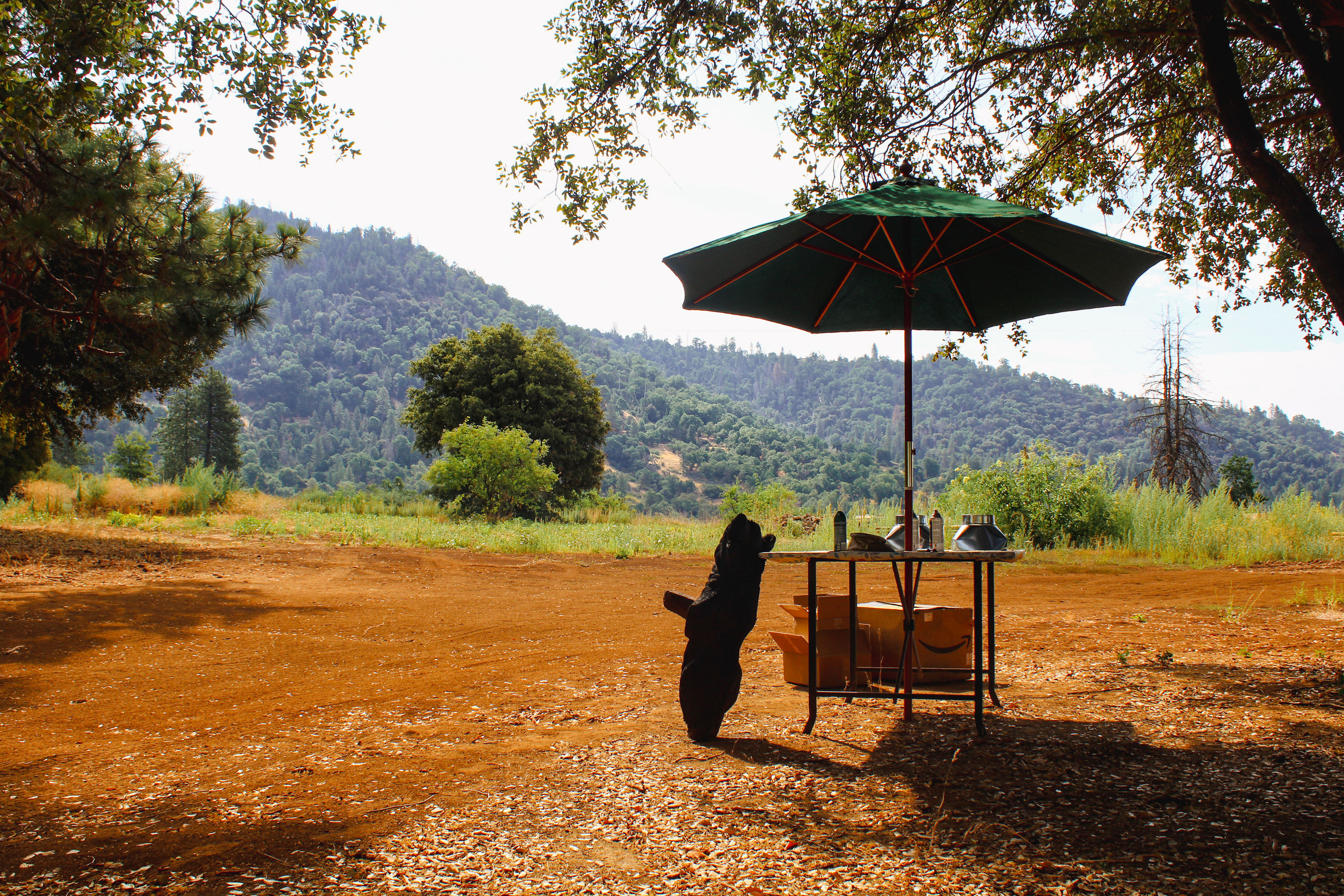 This little area is Micheals new checkin spot :) 