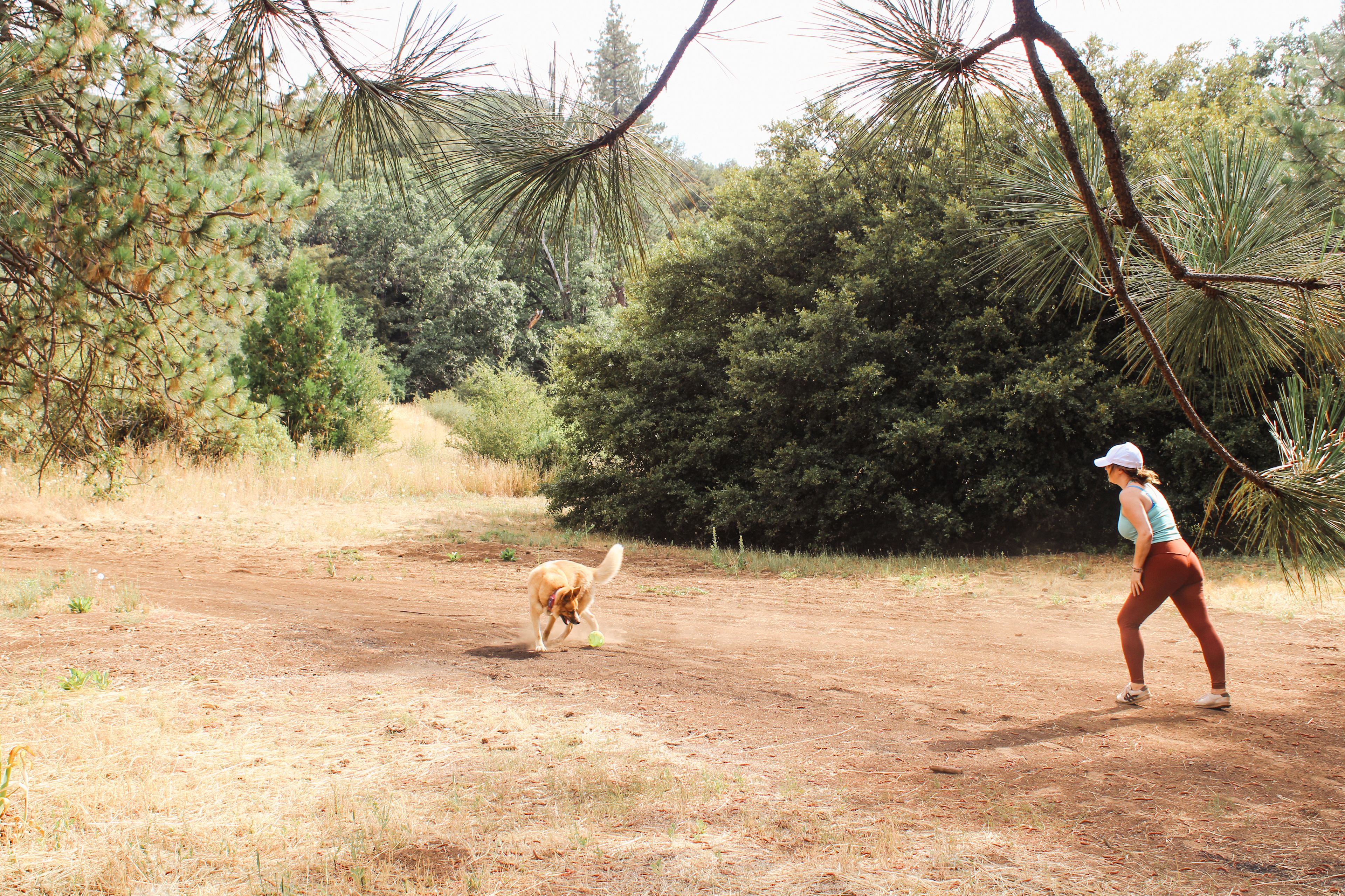 Had so much room to play with the pup! There are wild animals, as always, be safety and keep your pup in sight!