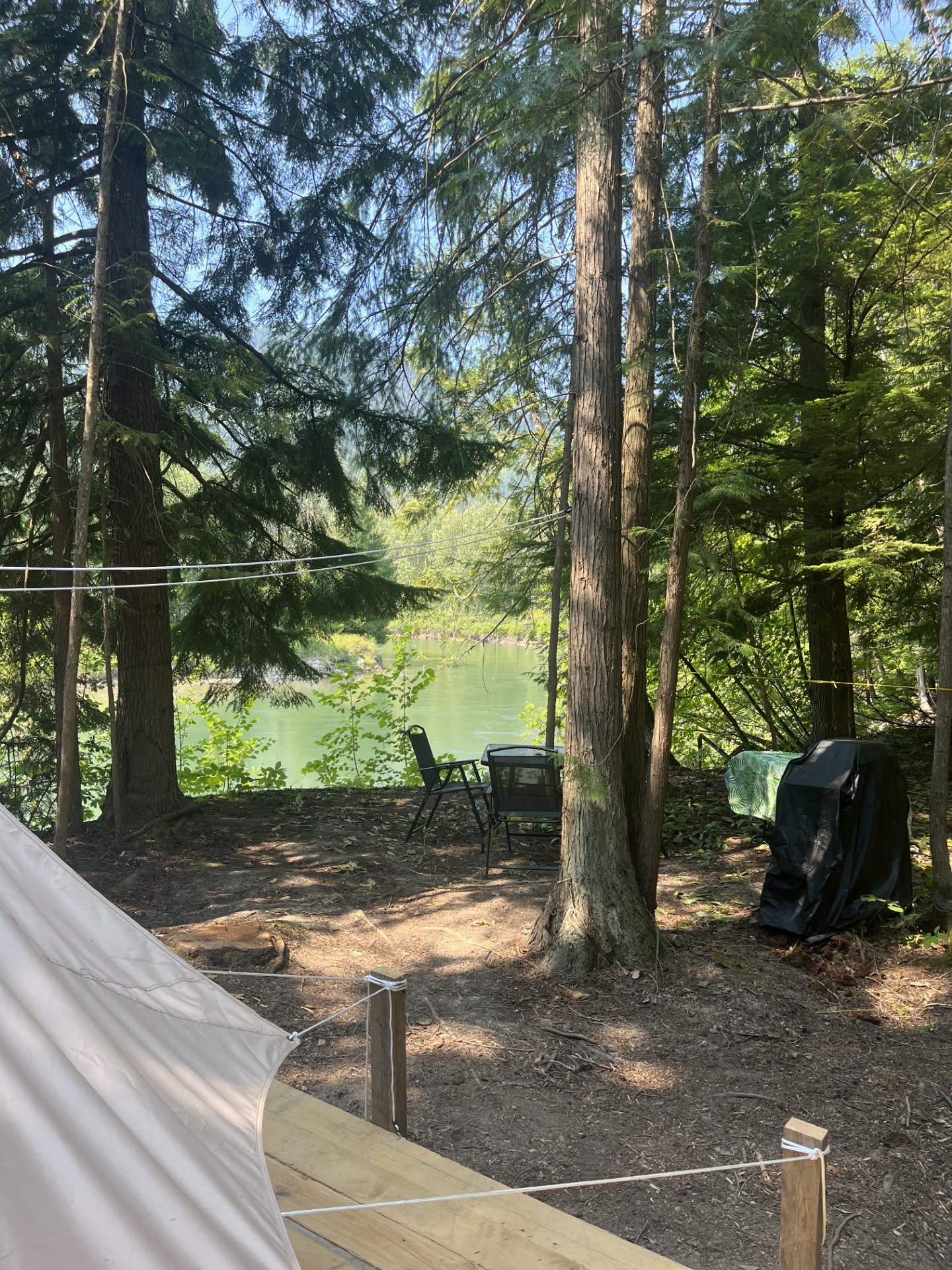 Hangin' Loose in Sicamous U Pick