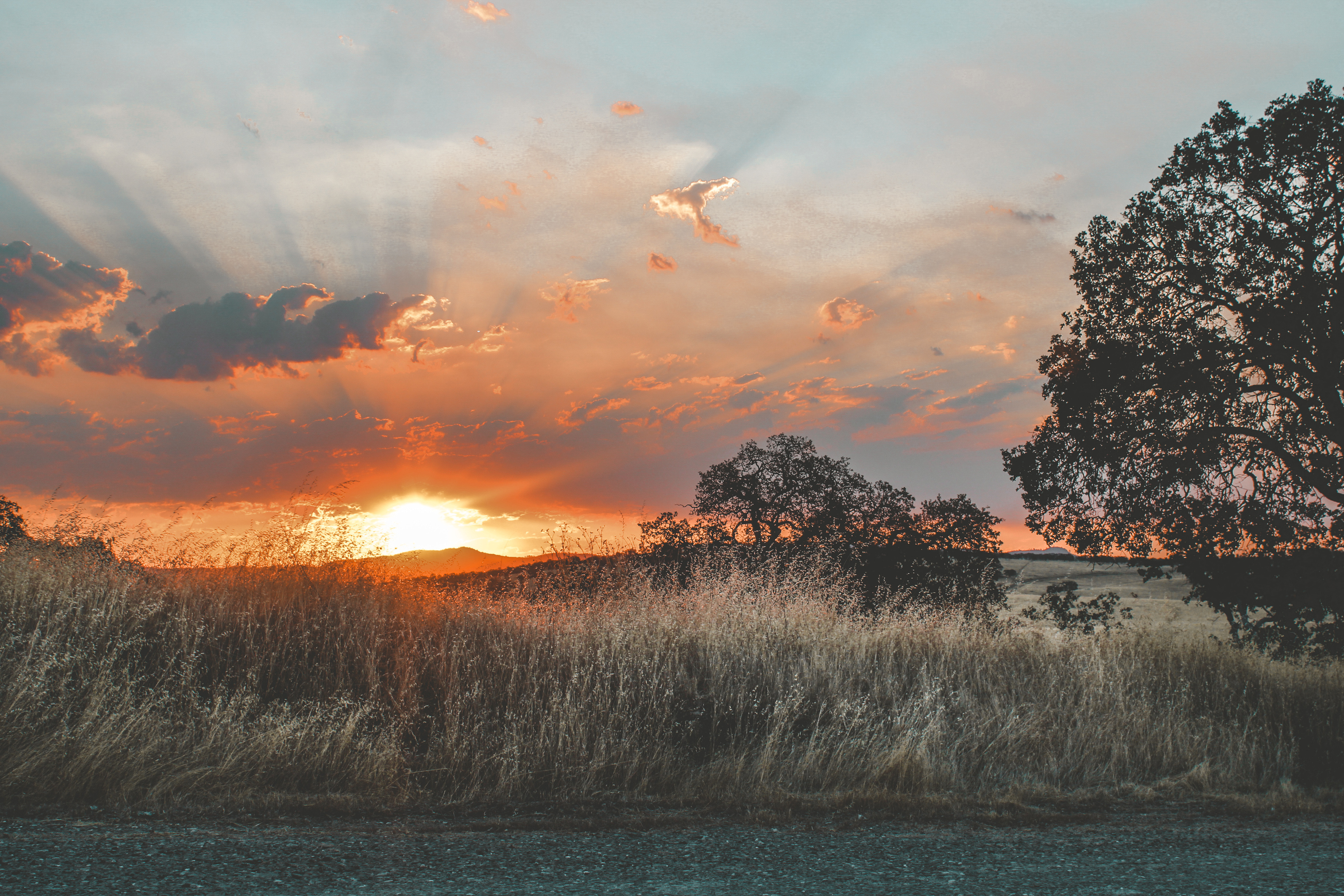 Gorgeous Sunrise right from camp
