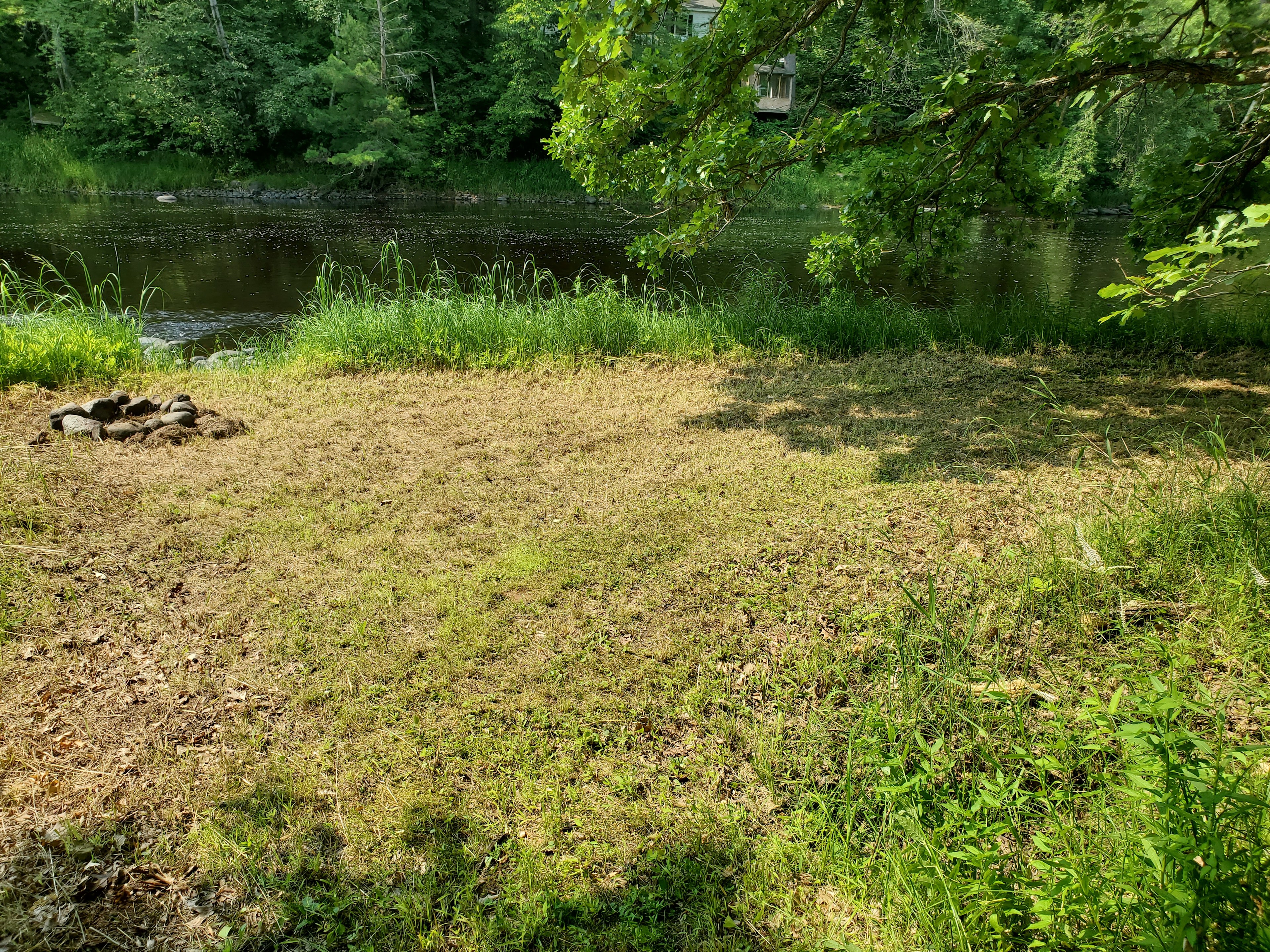 Tent site looking South, River right in front with rapids and swimming area to the left.