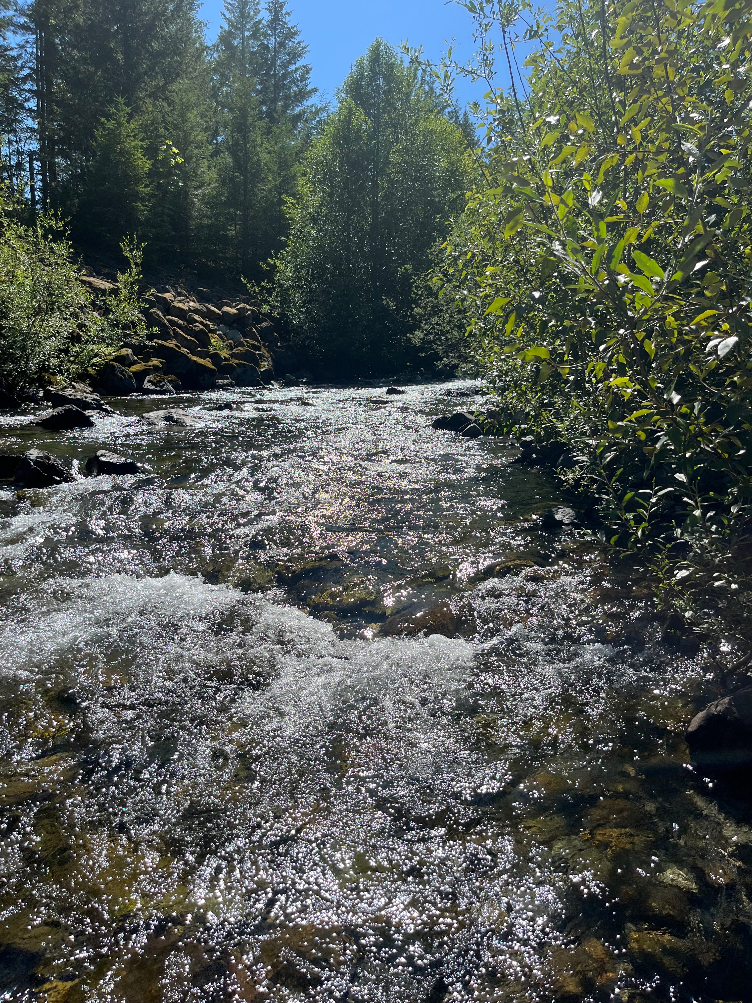 Gorgeous morning view steps from our site. 