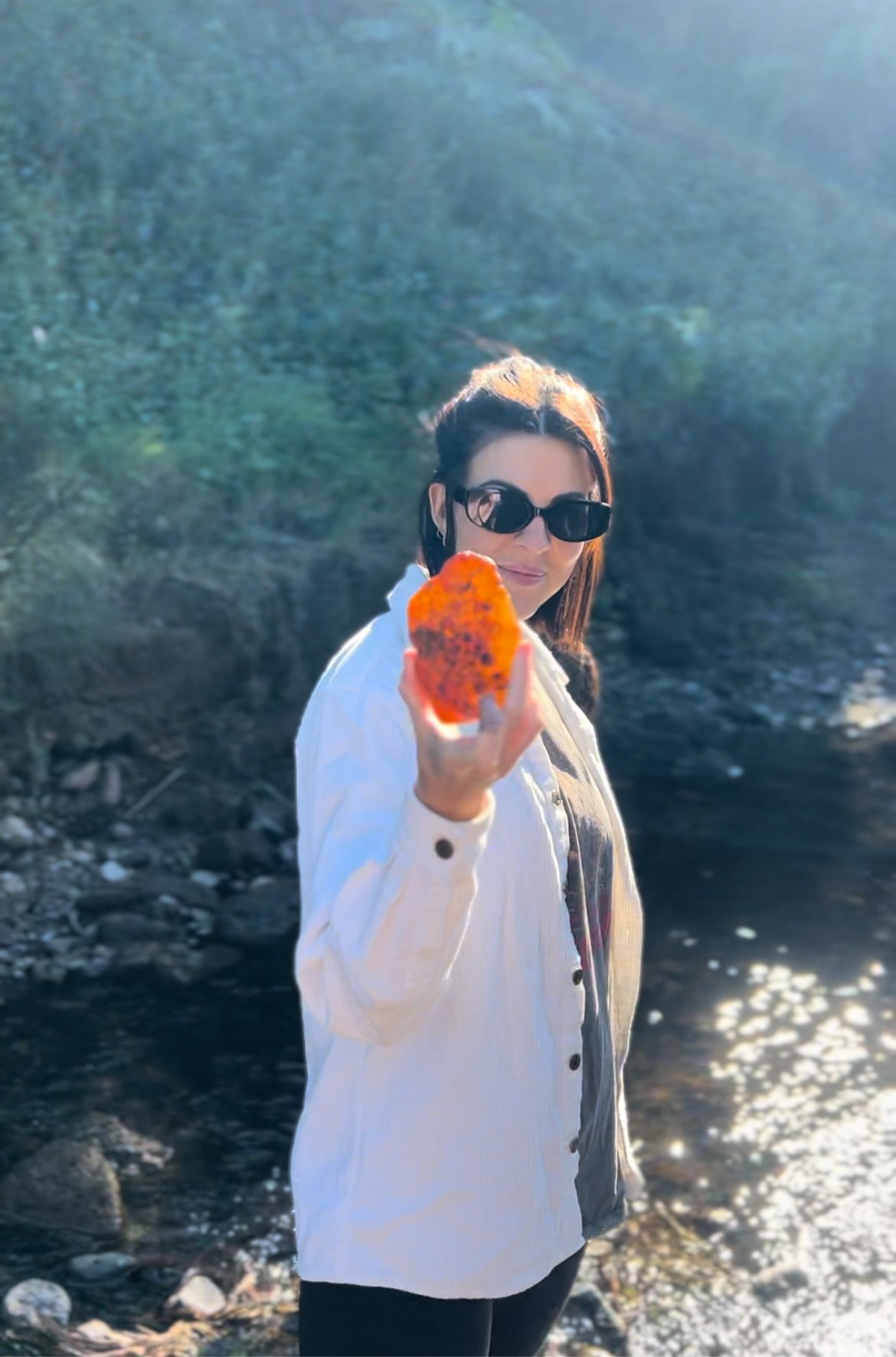 McKenzies Mountain, Wollumbin