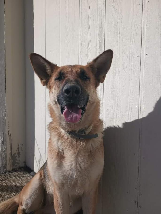 Fernwood Farmstead & Disc-Golf