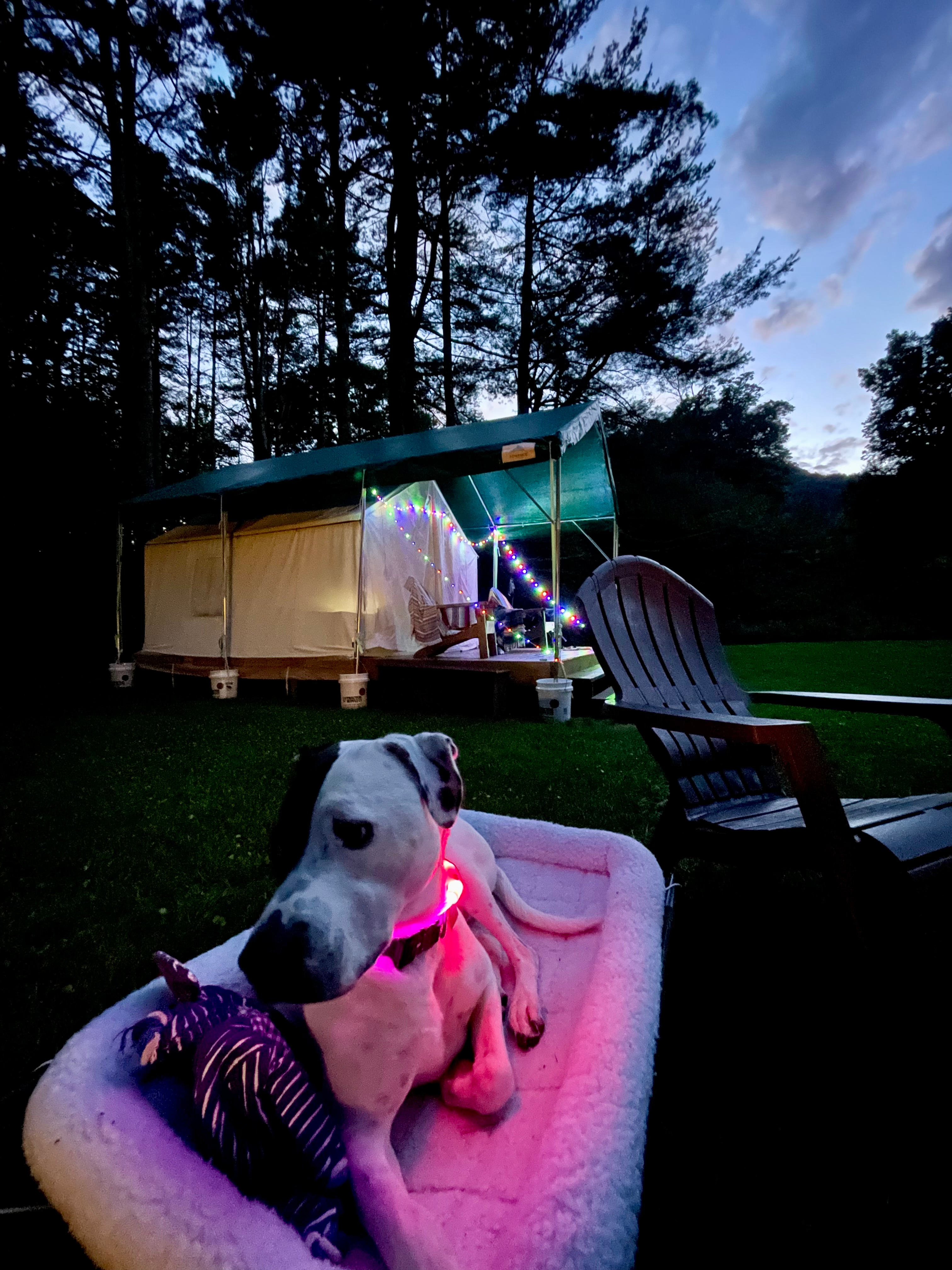 Big Indian Wilderness Paradise