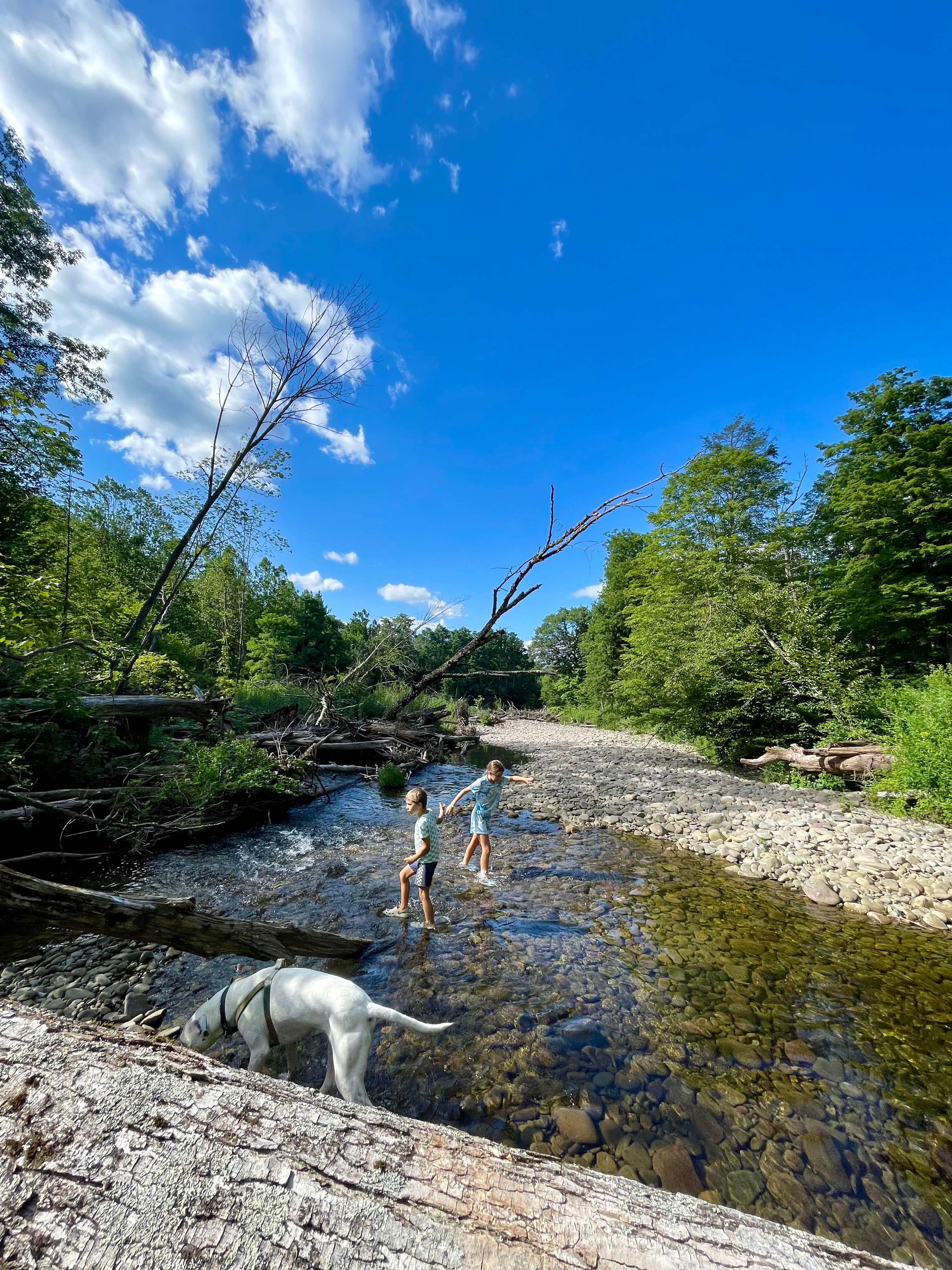 Big Indian Wilderness Paradise