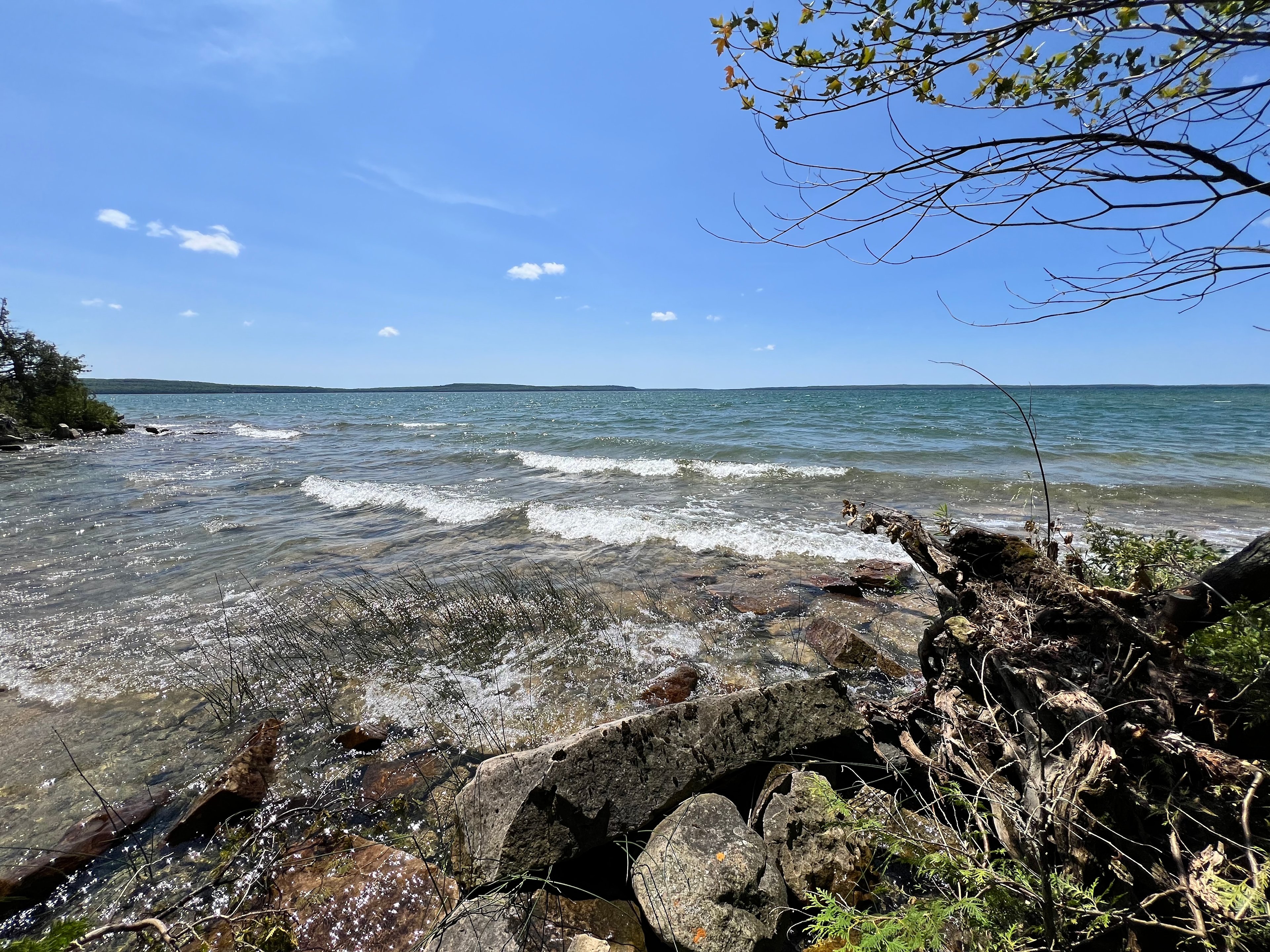 Wavy day on the lake. 