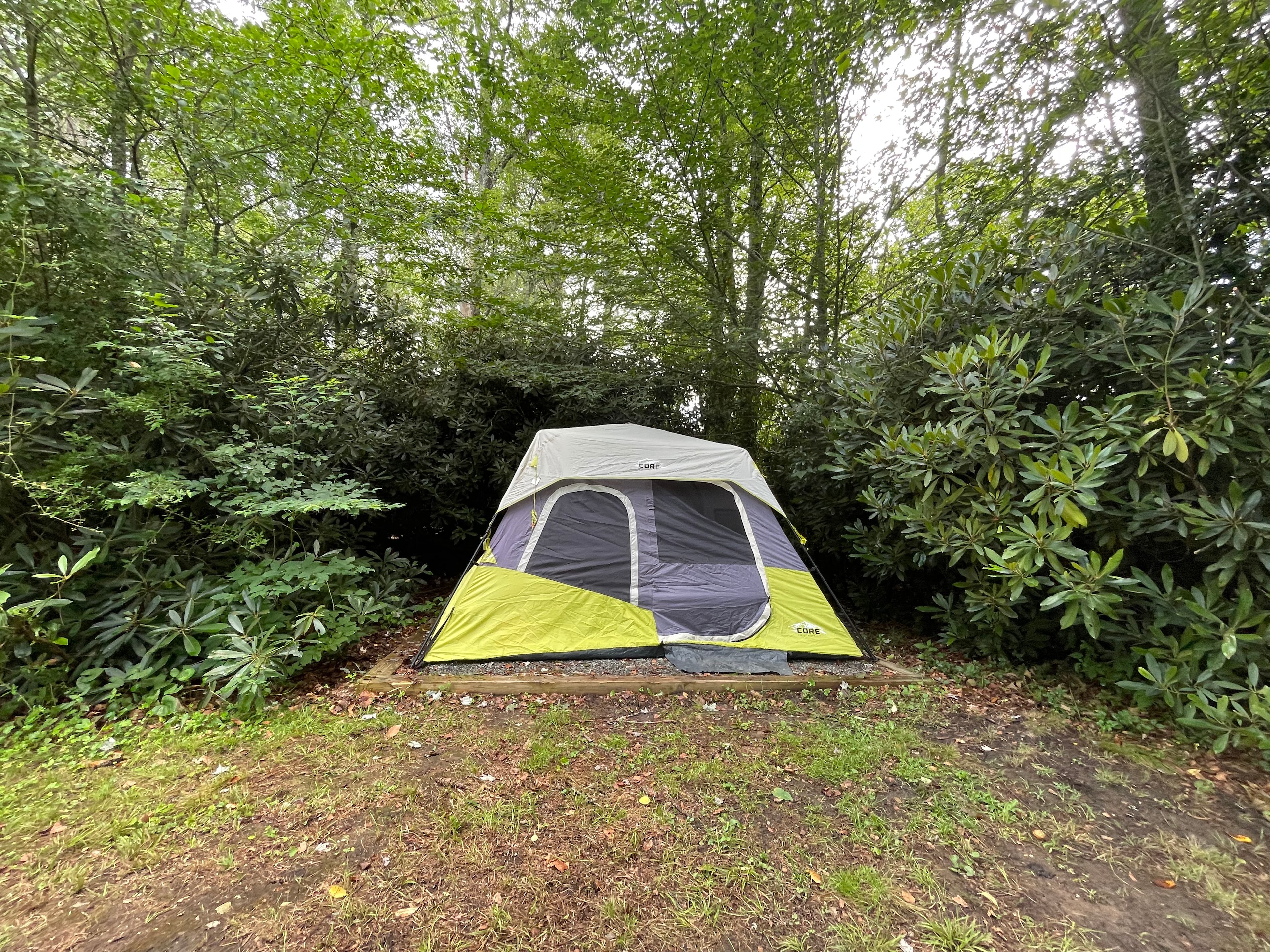 The Pineola - Camp, Lodge, Taproom