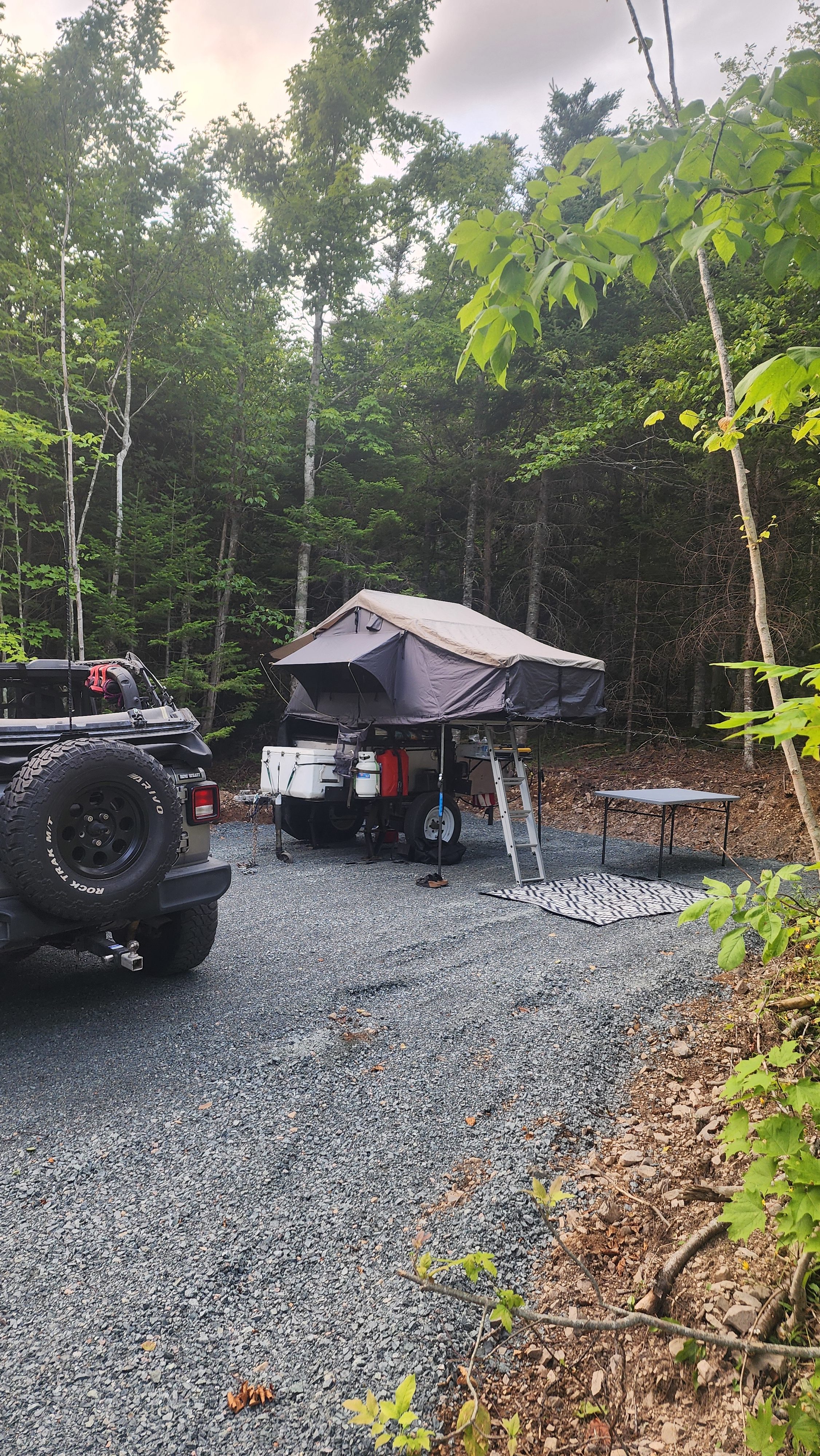 Ripped Hippies Camping Experience