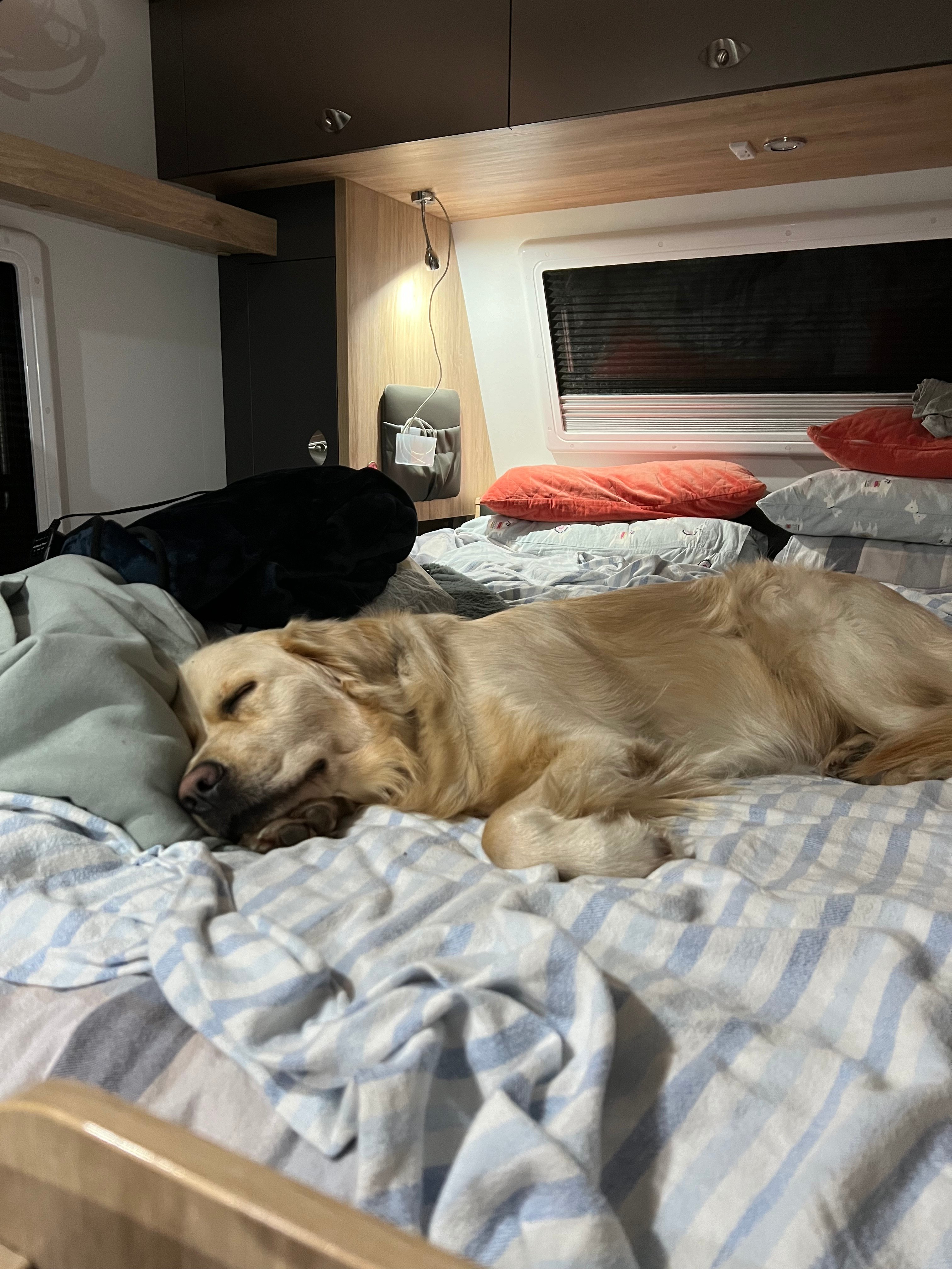 Lanikai Camping Ground