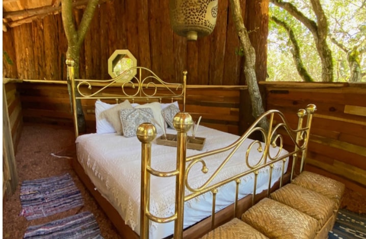 The Secret Gardens by the Bay