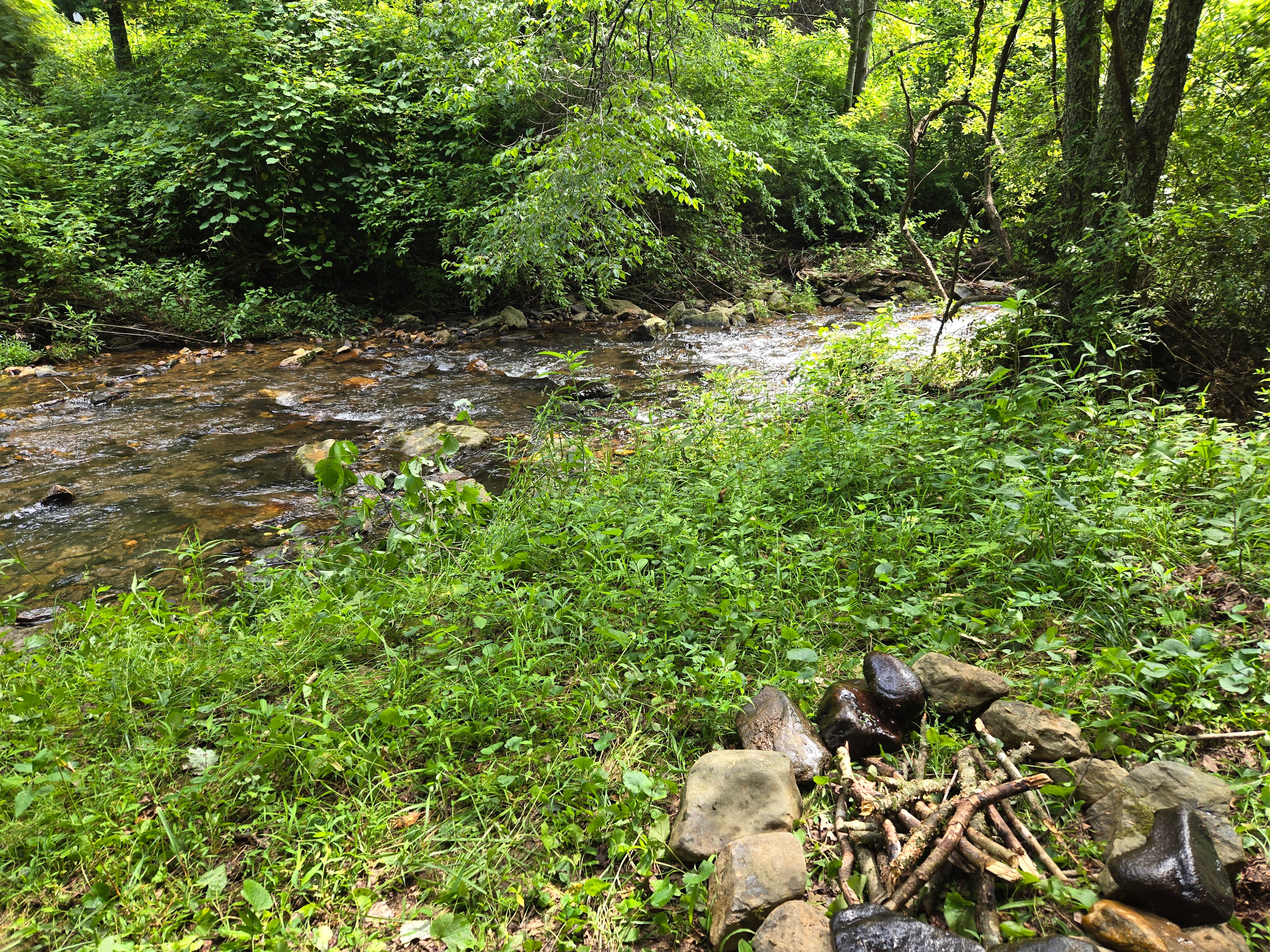 Dog Creek
