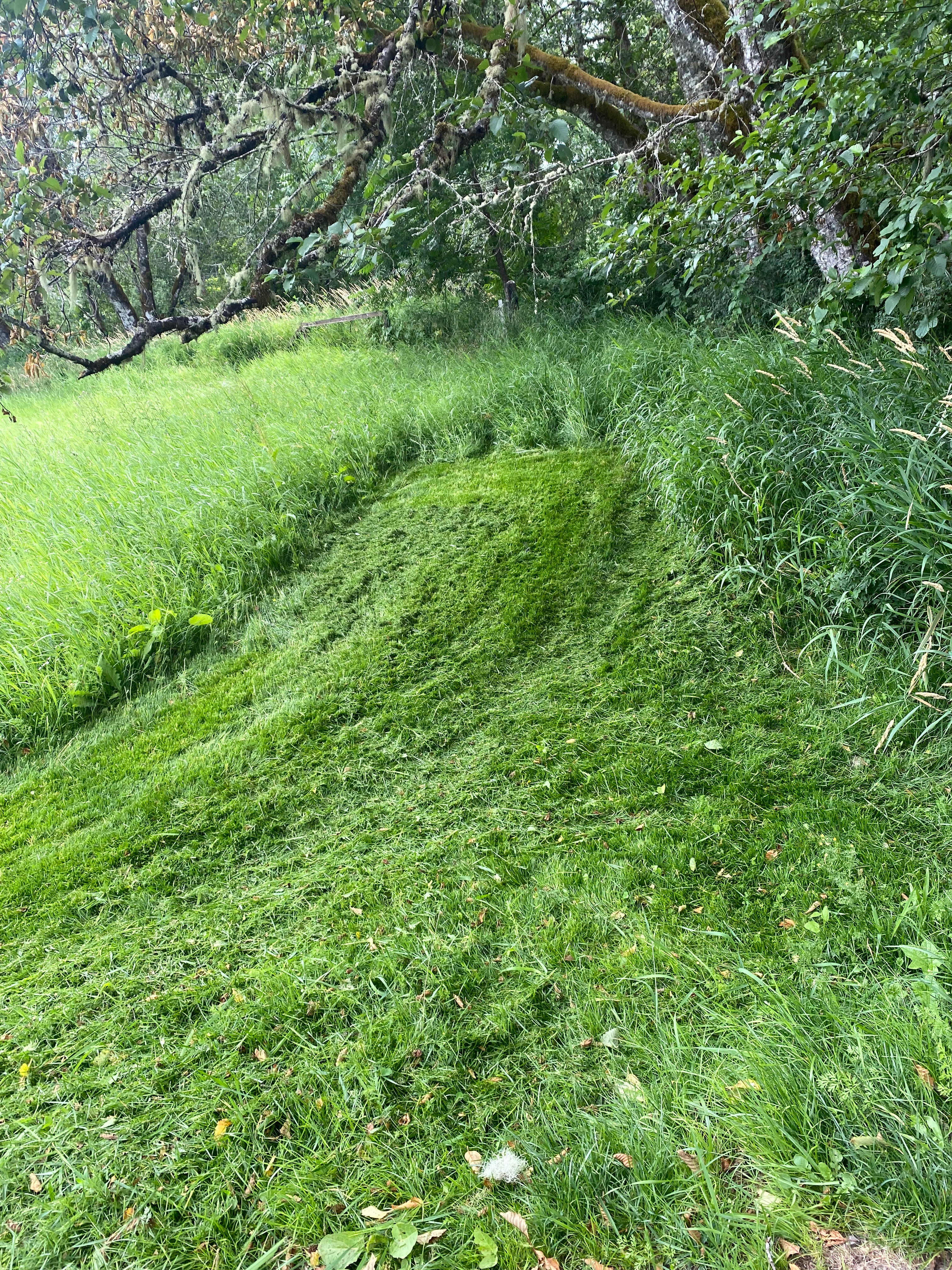The Treharne Trailhead