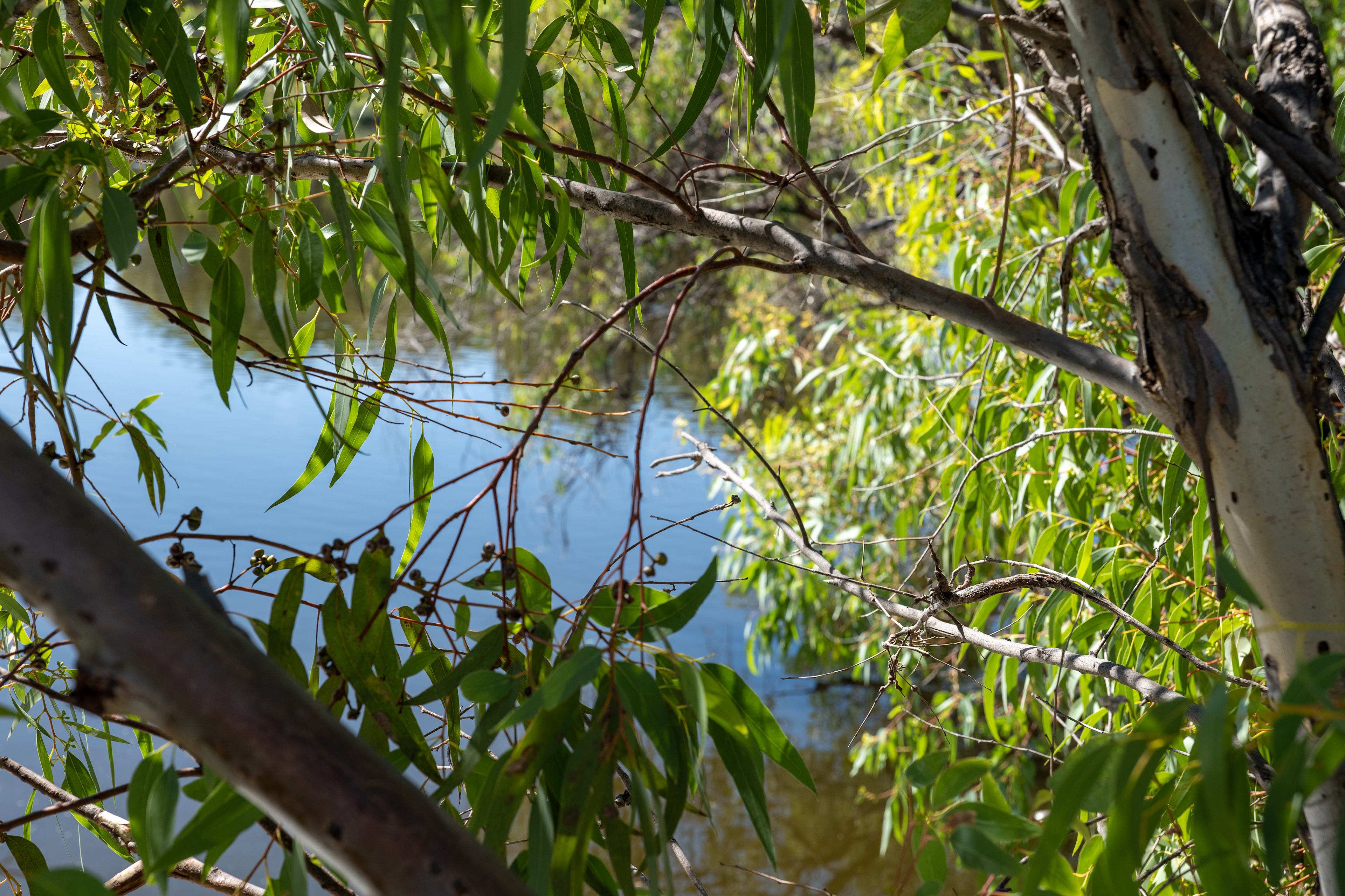 Highway Hideaway - Manjimup