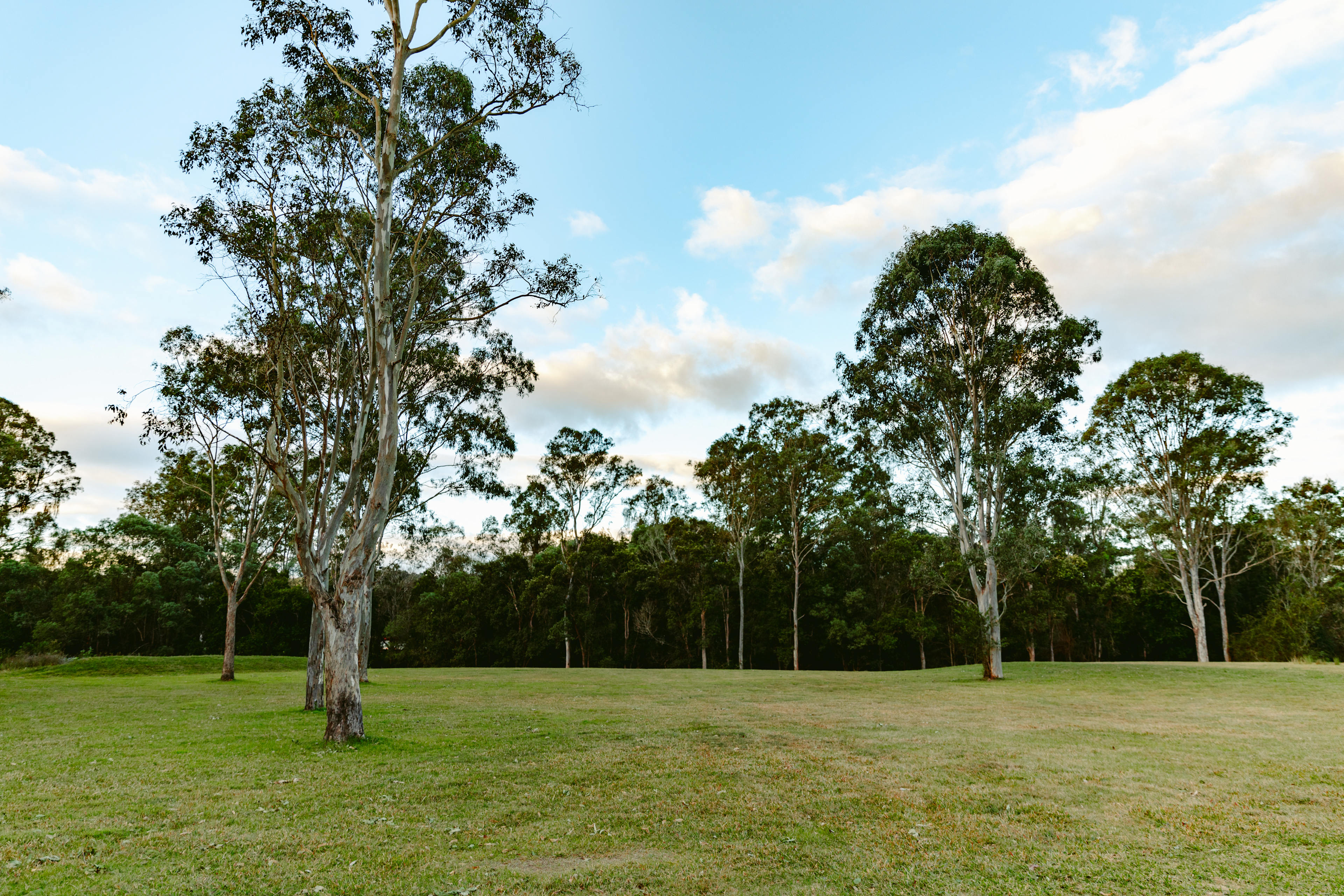 Woollahra Homestead - Farm Stay