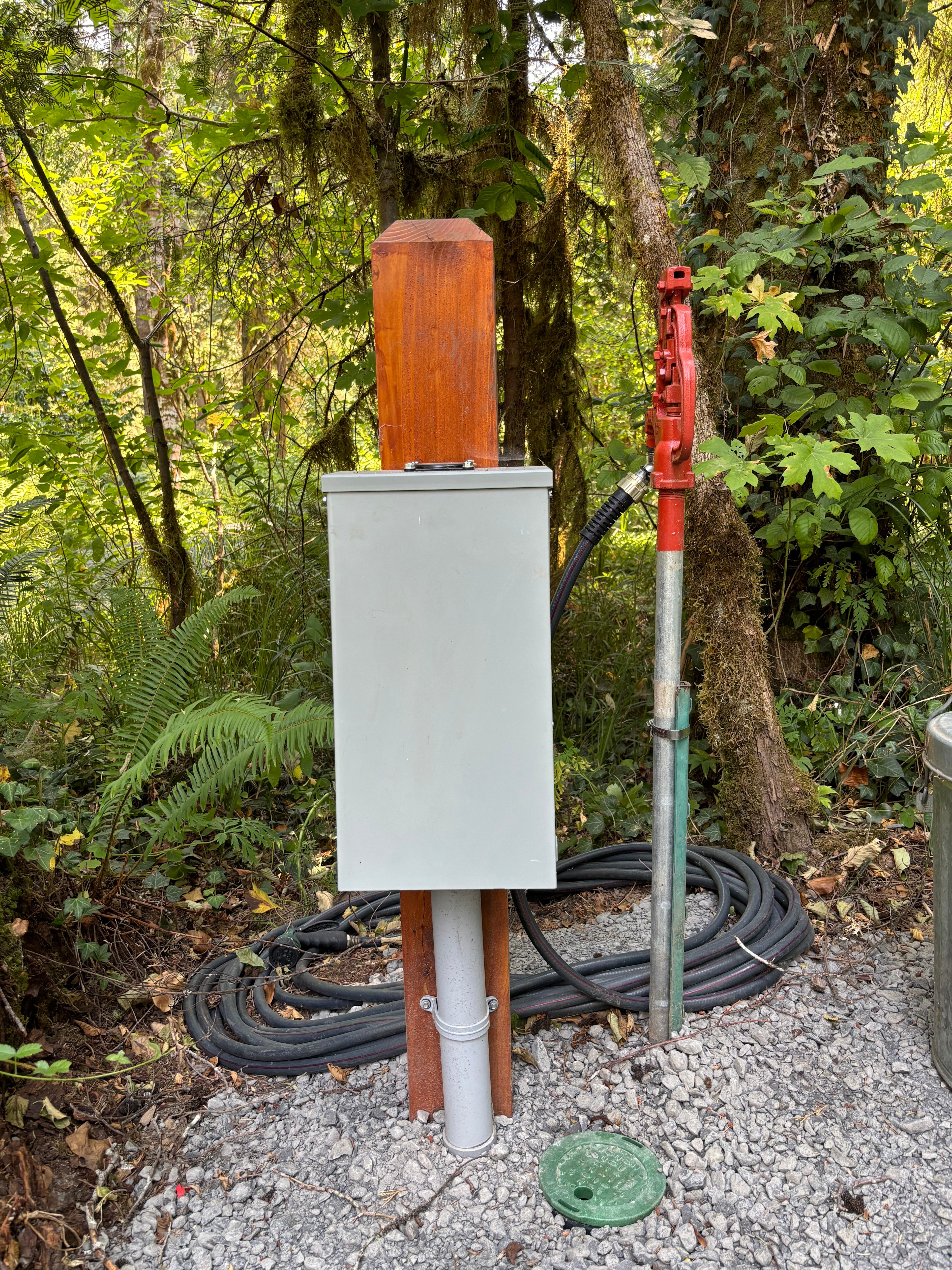 McKenzie River Spot in Rainbow