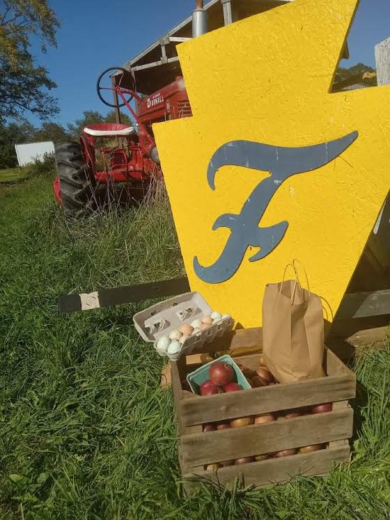 Fernwood Farmstead & Disc-Golf
