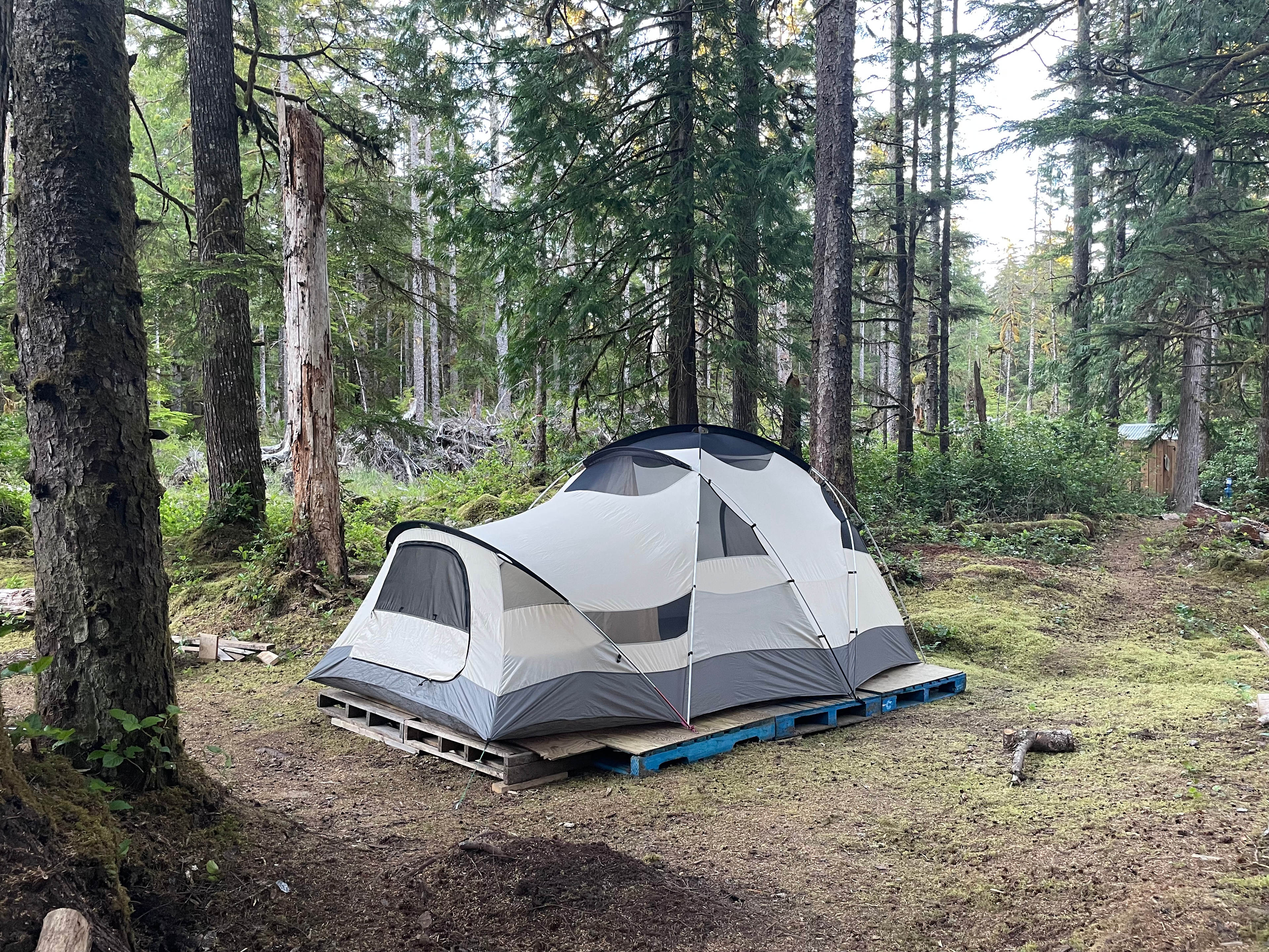 Tllaalside Forest Glamping