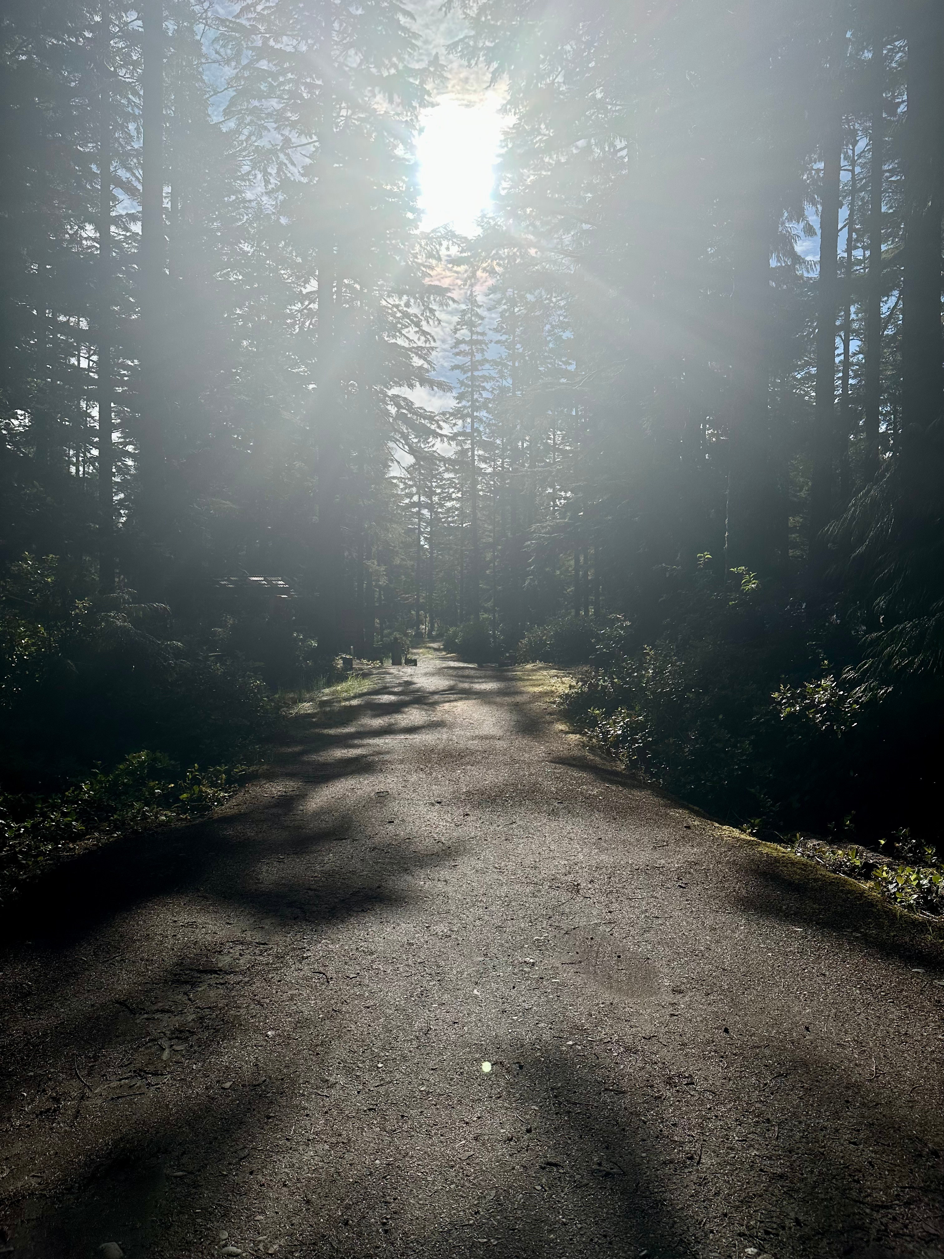 Tllaalside Forest Glamping