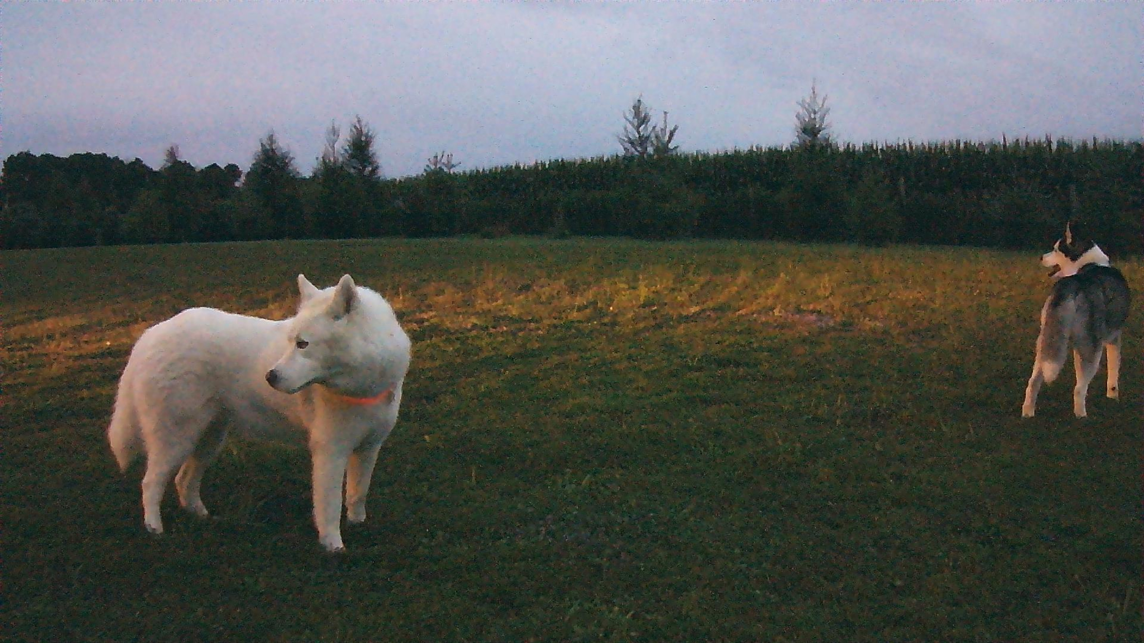 Hidden Oasis Near Elora