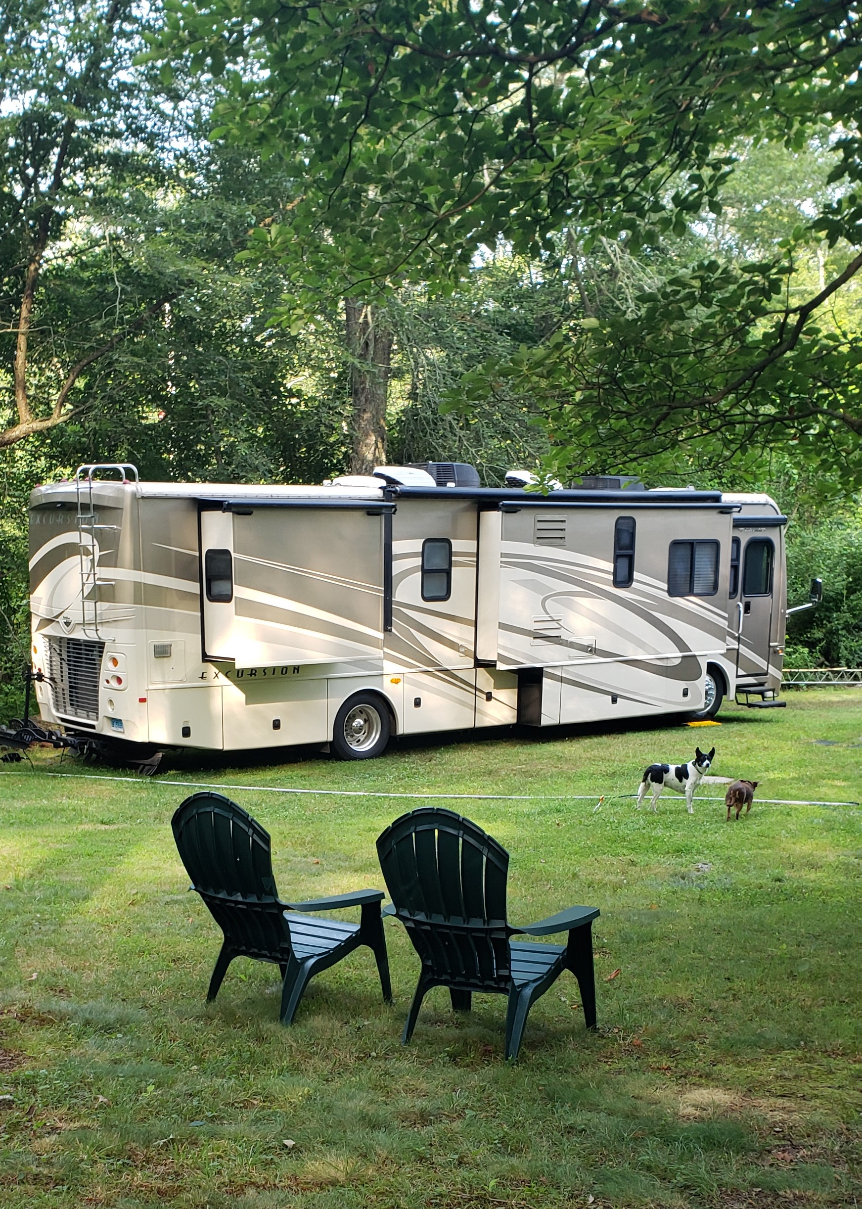 SimplePrivateNaturalEpicFirepitPets